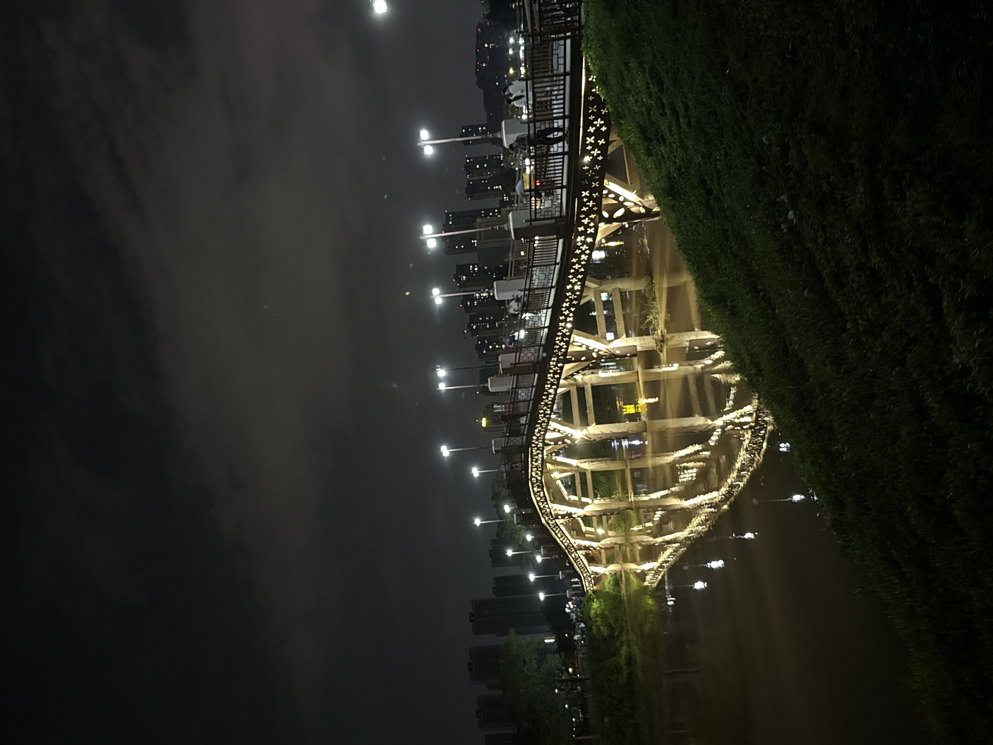 A pedestrian bridge illuminated by numerous lights arches over a calm body of water at night. The bridge has ornate railings and decorative cutouts along its underside, with lampposts lining its walkway. Reflections of the bridge and its lights shimmer on the water's surface. In the background, a cityscape with tall buildings is visible against a dark, cloudy sky. Several people are walking on the bridge. The scene appears to be situated in a park or recreational area, possibly alongside a river or lake, in Huizhou, China. The water is murky brown, and the foreground is dominated by a grassy embankment.