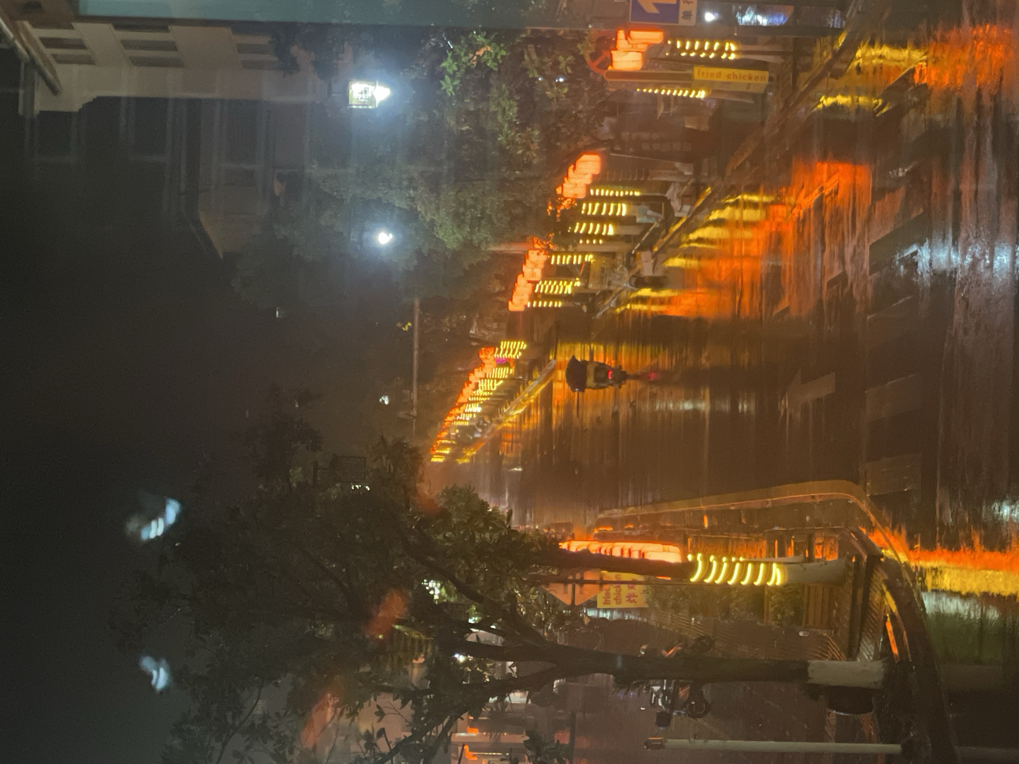 A nighttime view in Wulingyuan, China, shows a wet street reflecting the lights of buildings and signs. A motorcycle with a rider is visible in the middle of the street. The reflection of lights indicates rain. Trees line the street on the sides. A sign for "fried chicken" is visible.