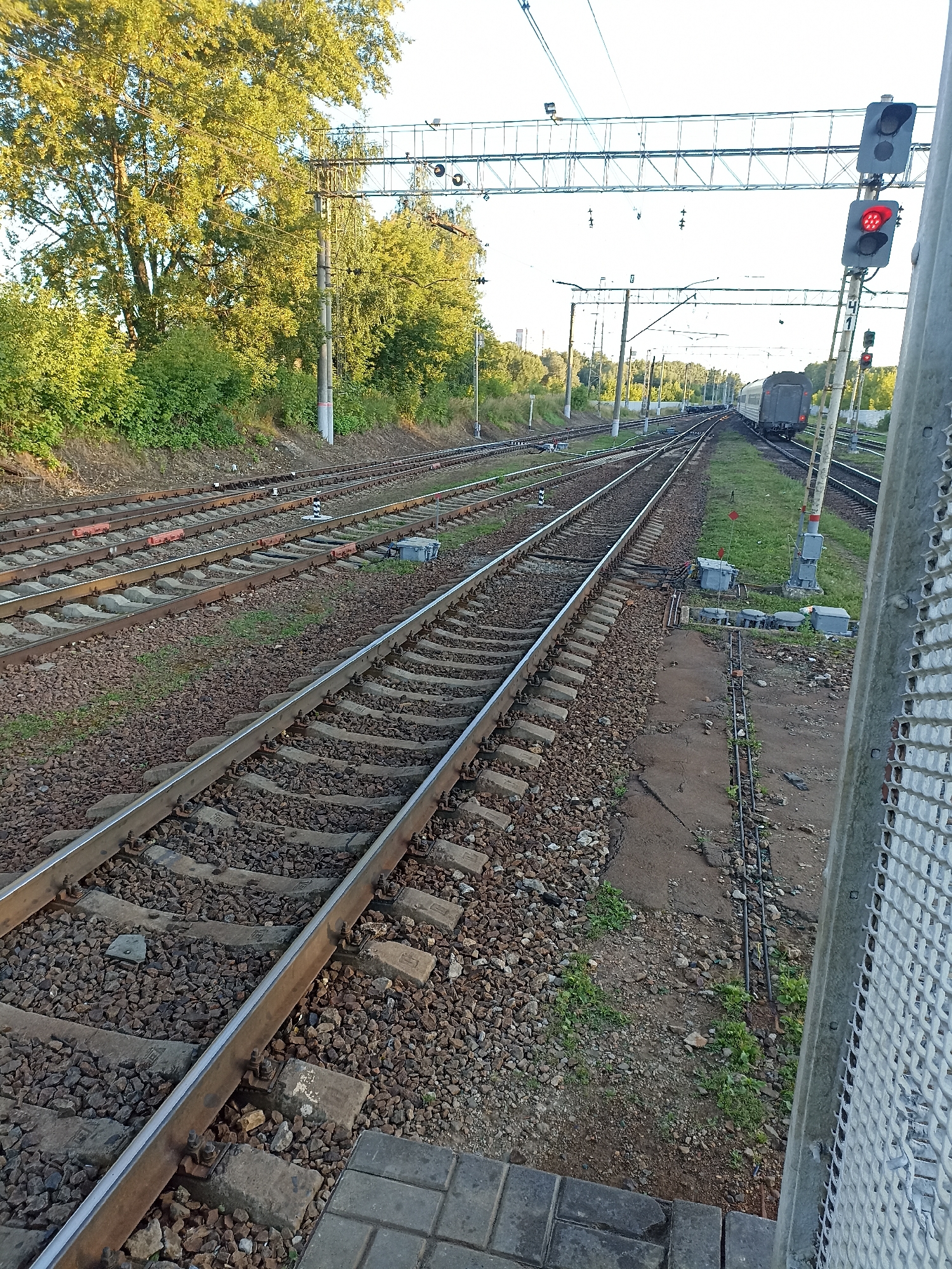 The image captures a railway junction on a sunny day, likely in Chekhov, Russia, given the typical infrastructure and vegetation. Multiple parallel railway tracks dominate the foreground, laid with gravel ballast and concrete sleepers. The tracks converge and diverge, indicating a complex switching system. In the mid-ground, a train, primarily composed of dark-colored carriages, is visible on one of the tracks, moving away from the viewer.
To the right of the tracks, a railway signal mast stands tall, displaying a red light, which signifies a stop command. A grey metal fence runs along the right edge of the image, partially obscuring the view. In the background, lush green trees and vegetation line the sides of the railway, with overhead power lines suspended on poles stretching across the scene. The sky is bright and clear, suggesting fair weather. There are no people visible in the frame.