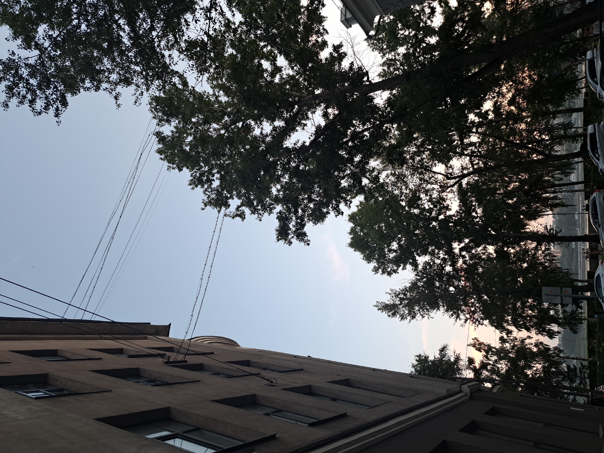 The image depicts a low-angle view of an apartment building on the left and a line of trees against a pale sky on the right, suggesting late afternoon or early evening. Power lines are strung between poles, crossing the sky. The building is constructed of grey concrete and features multiple windows arranged in vertical rows. The trees are lush and full of leaves, with some appearing taller than others. In the background, a body of water is visible, possibly a river or lake, with a distant cityscape on the opposite bank. A few cars and pedestrians are present near the water's edge. The overall impression is of an urban environment with natural elements integrated. The presence of the city of Irkutsk, Russia, is not evident from the visual information alone.
