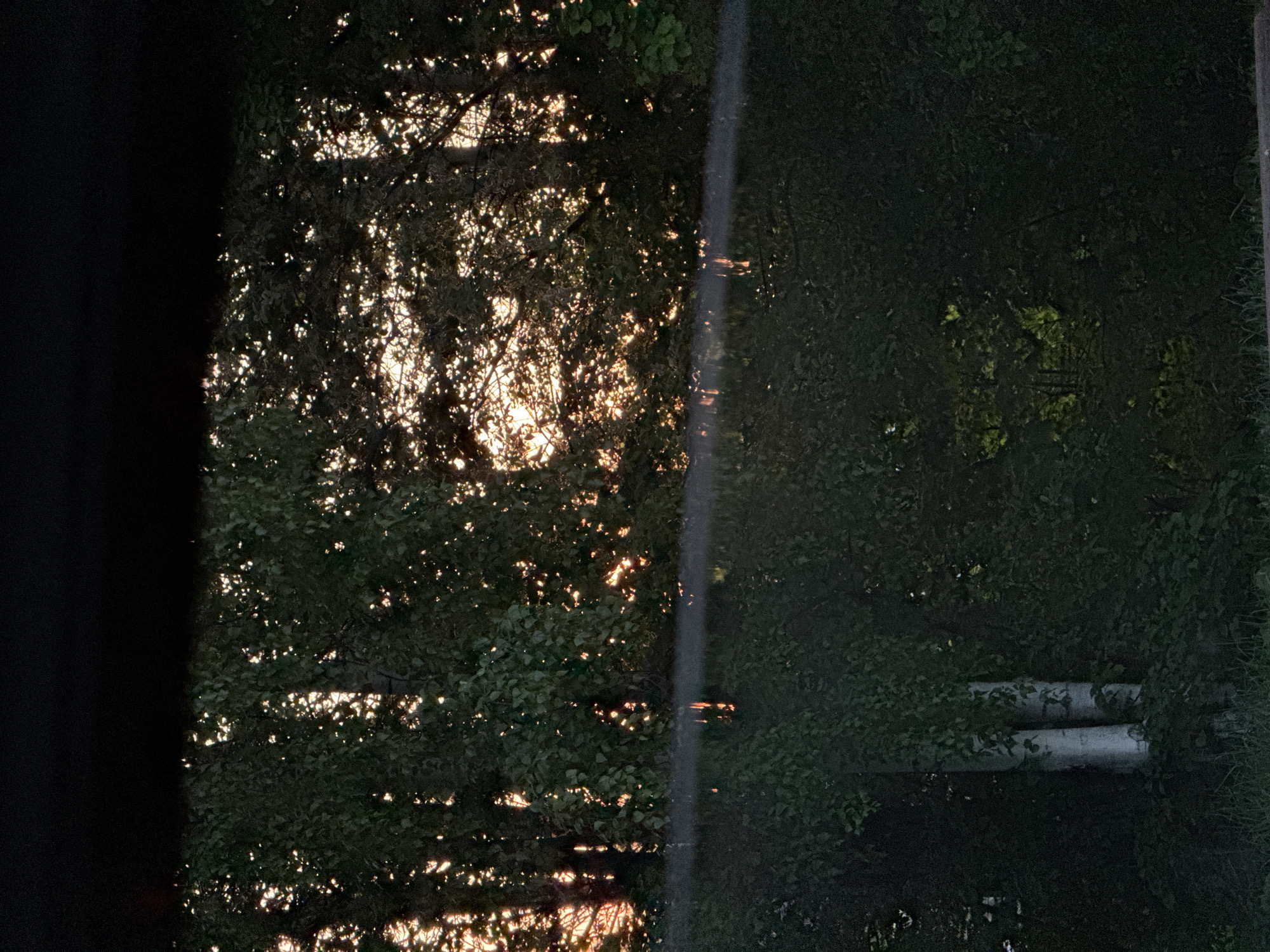 The image shows an outdoor scene at dusk in what appears to be Ягул, Russia. On the left side, there is a dark, undefined structure, possibly a building. Adjacent to it are dense trees with sunlight filtering through the leaves. To the right of the trees is a vertical line suggesting a utility pole. Beyond the pole, more greenery is visible, concealing a pair of stacked, light-colored pipes.