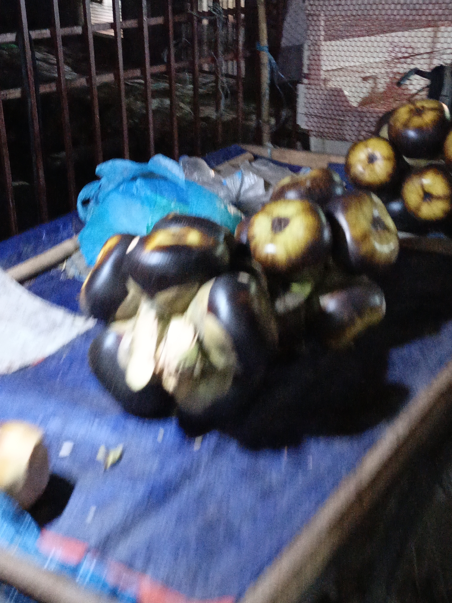 The image shows a collection of Toddy palm fruits displayed on a blue surface, likely a table or platform, outdoors. The fruits are dark brown with yellowish-white interiors visible where they have been cut. The fruits are clustered in groups, one larger pile closer to the camera and another smaller collection in the background. Behind the fruits, there is a blue plastic bag and some metallic fencing. The environment is poorly lit, suggesting the scene is either at night or in a dim location. The location in the city is Unknown, Unknown.