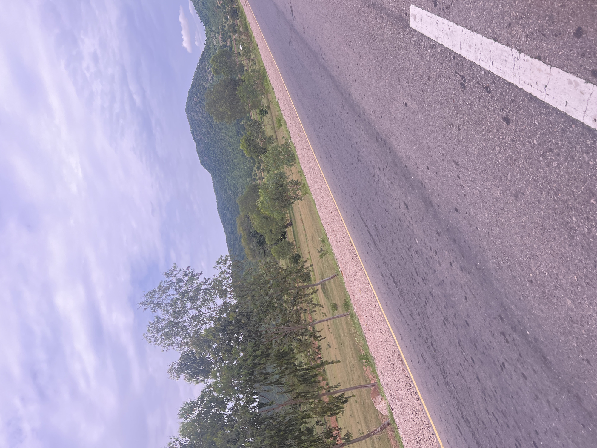 The image depicts a road cutting through a rural landscape under a cloudy sky. The road, paved with asphalt, has a white line marking its right edge. To the left of the road is a gravel shoulder bordered by a yellow line. Beyond the shoulder, a grassy field with scattered trees stretches towards a hilly, tree-covered terrain in the distance. A line of tall, slender trees with sparse foliage runs along the edge of the field closest to the road. The overall impression is one of a remote, undeveloped area, likely in a sub-Saharan African setting given the description of Minda, Nigeria. There are no people or vehicles visible in the image.