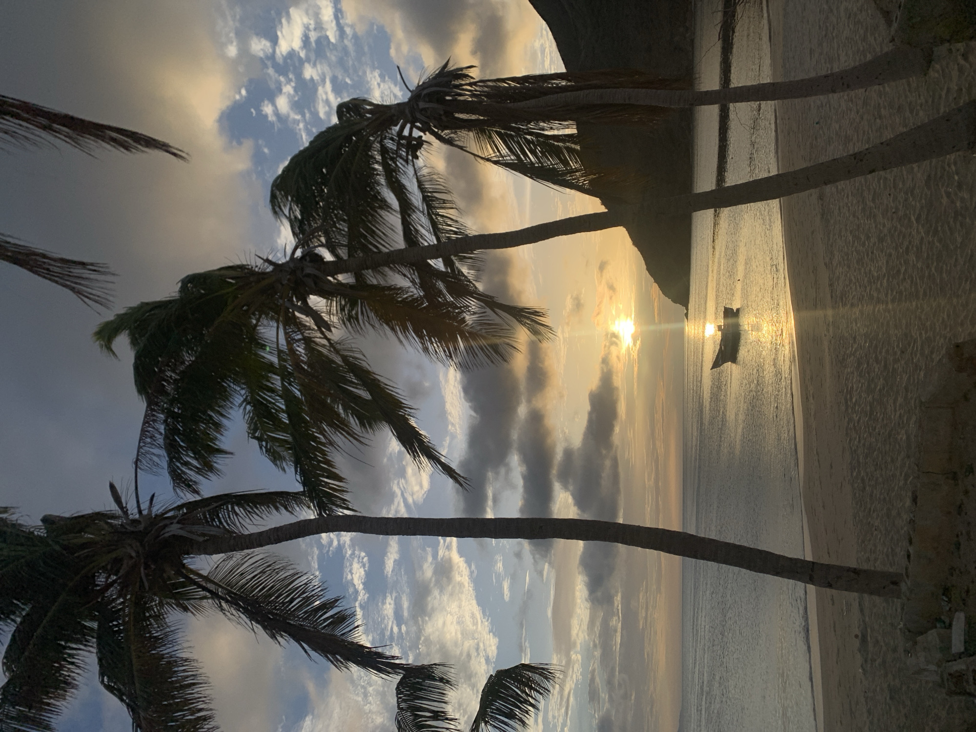 In Juan Griego, Venezuela, this photograph captures a tranquil beach scene at sunset. Several palm trees, silhouetted against a sky filled with dramatic clouds and the setting sun, dominate the foreground. The sun's golden rays reflect on the calm ocean, where a small boat is anchored. The sandy beach is empty, and a gentle wave laps at the shore. A dark, mountainous silhouette is visible in the distance to the right. The overall atmosphere is serene and peaceful.