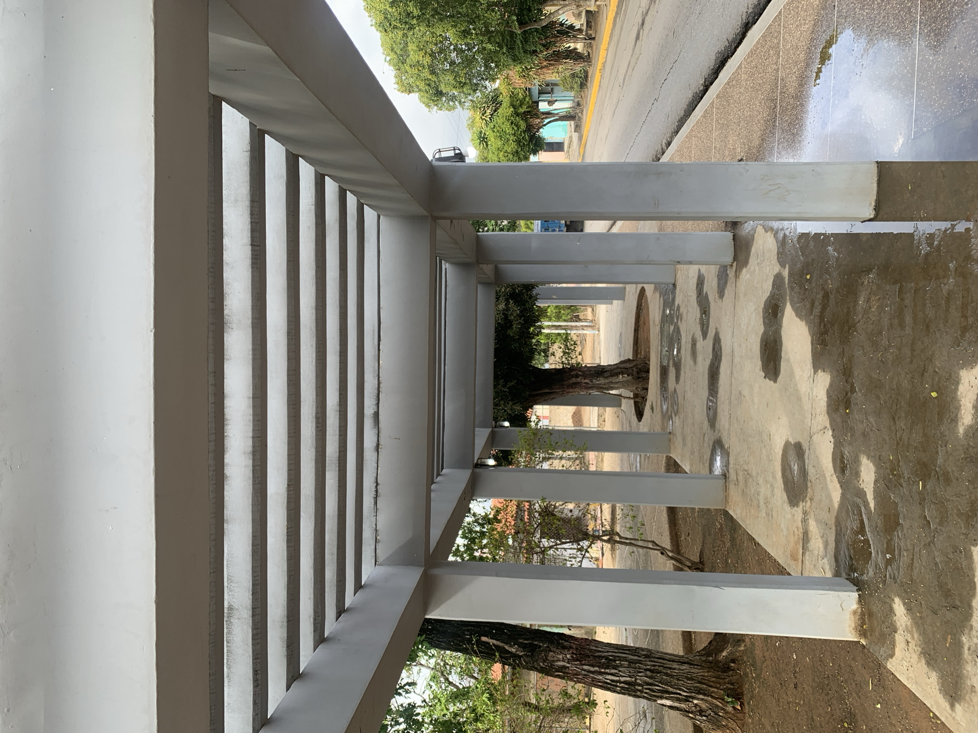The image depicts a long, covered outdoor pathway or pergola in La Tagua, Venezuela, viewed from within the structure, looking down its length. On the left, a continuous series of light grey/white rectangular columns supports a slatted roof structure, creating a striped shadow pattern on the concrete ground in certain areas.
The concrete pathway exhibits numerous dark, irregular wet patches and puddles, particularly noticeable on the right side and in the foreground, indicating recent rain or watering. Several trees with thick, dark trunks and green foliage are interspersed along the walkway, appearing to grow through openings in the pavement or adjacent to it.
To the right of the covered path, a paved road or street is visible, featuring a yellow line along its edge. The road also shows wet areas with reflections. In the middle distance, a dark vehicle is partially discernible on the road. Beyond the road and trees, faint outlines of buildings with various colored walls can be seen. The scene is unpopulated, suggesting a quiet daytime moment, possibly after rainfall. No visible text is present.