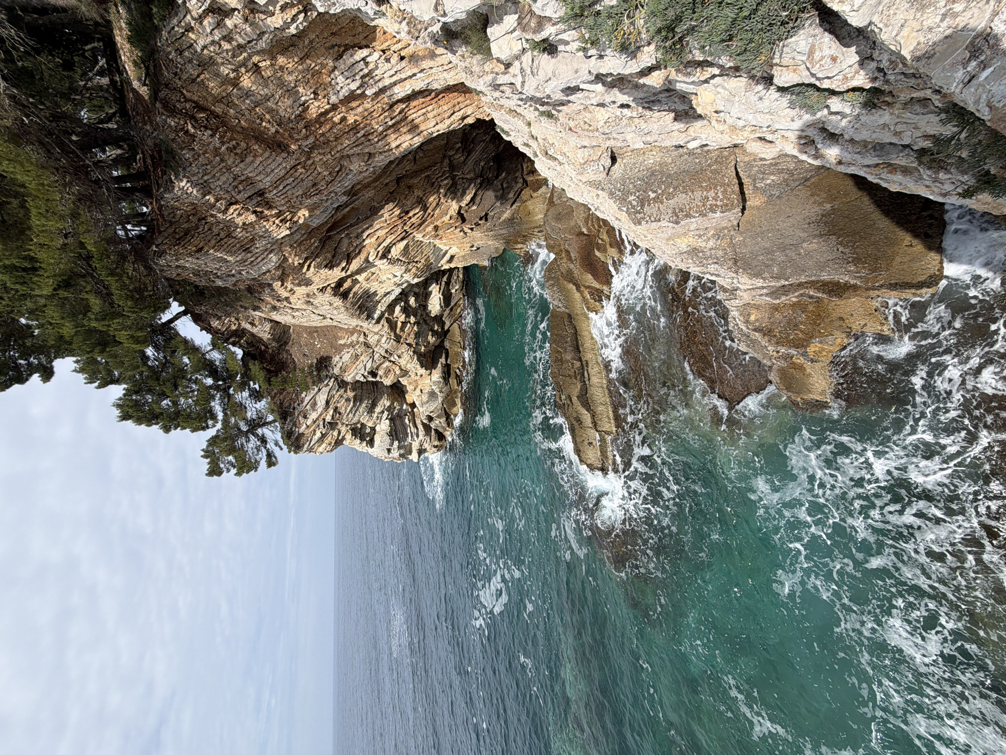 A view from above captures the rocky coast of Petrovac centar, Montenegro. Layered rock formations meet the water's edge, where the sea churns with white foam against the rocks. The water transitions from a clear turquoise near the coast to a deeper blue-gray further out, indicating deeper water. On the cliff edges, sparse vegetation clings to the rock. A tree grows from the cliff edge. The sky is overcast with light clouds. There are no people visible.