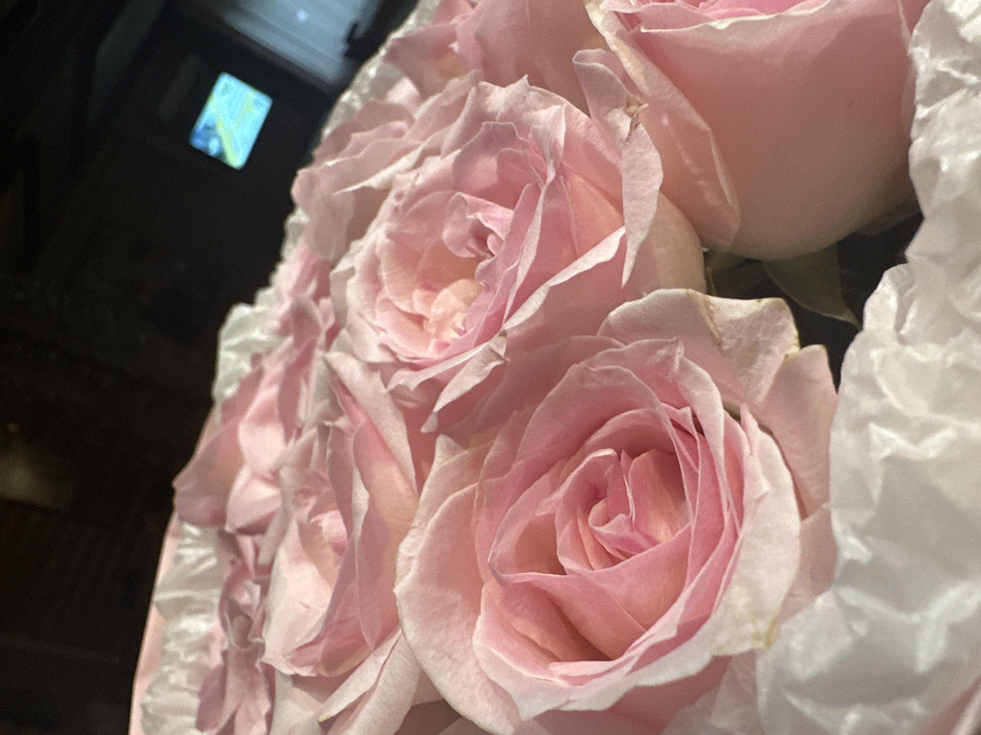 The image shows a close-up of a bouquet of pink roses, with white tissue paper surrounding them. The lighting is dim, and the background is dark, with a small, out-of-focus screen displaying a colorful image in the upper right corner. There are no people visible in the image. The scene is indoors, likely in a home or gift shop, and the context of Novokuznetsk, Russia, cannot be determined from the visual information.