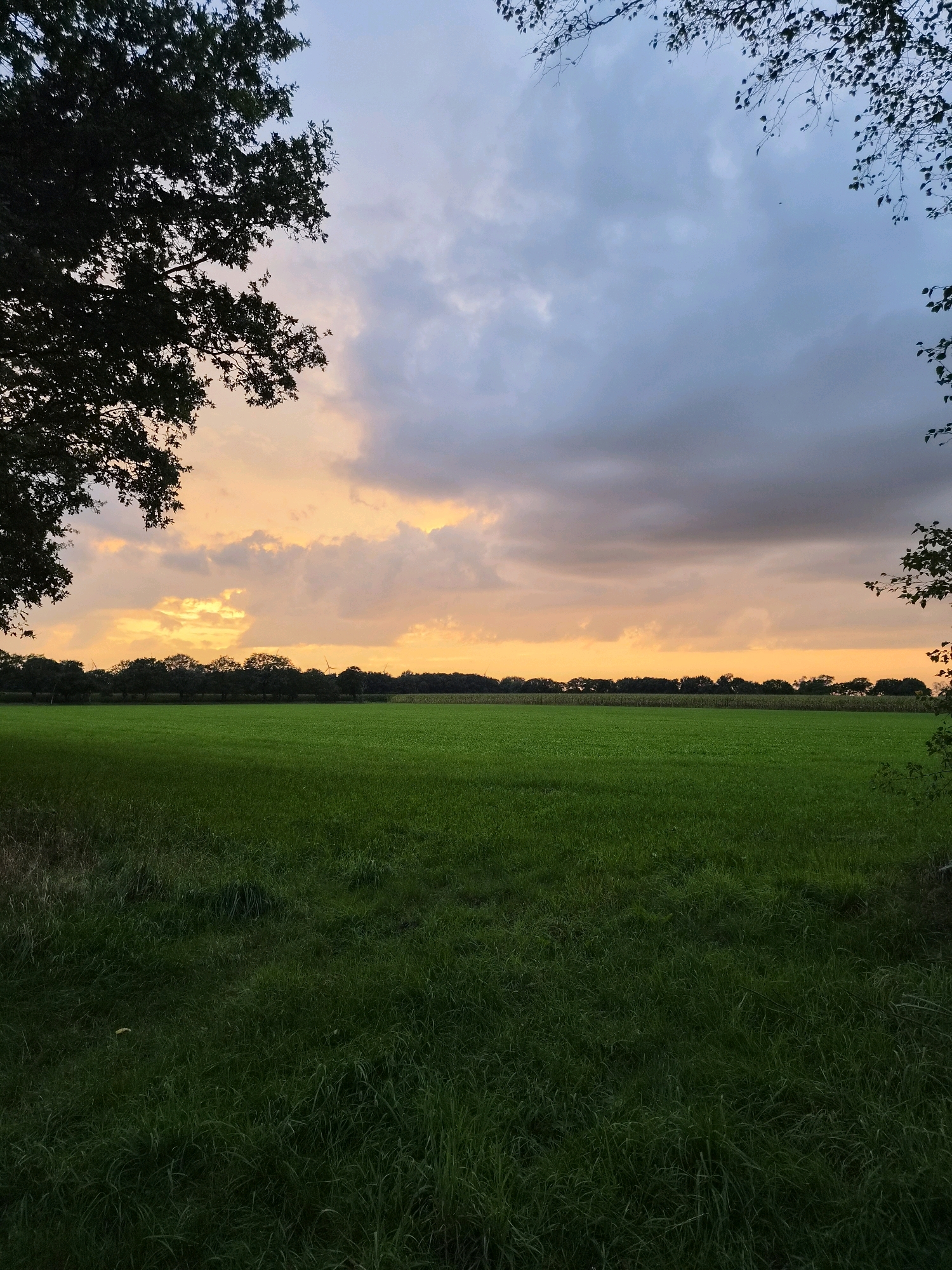 The image shows a wide, green grassy field under a dramatic sky at dusk. Dark green trees line the horizon, and silhouetted against the warm orange and gray clouds are several wind turbines. The foreground is dominated by lush grass, with the dark silhouettes of trees framing the left and right edges of the image. The overall scene conveys a sense of natural tranquility and agricultural landscape.
