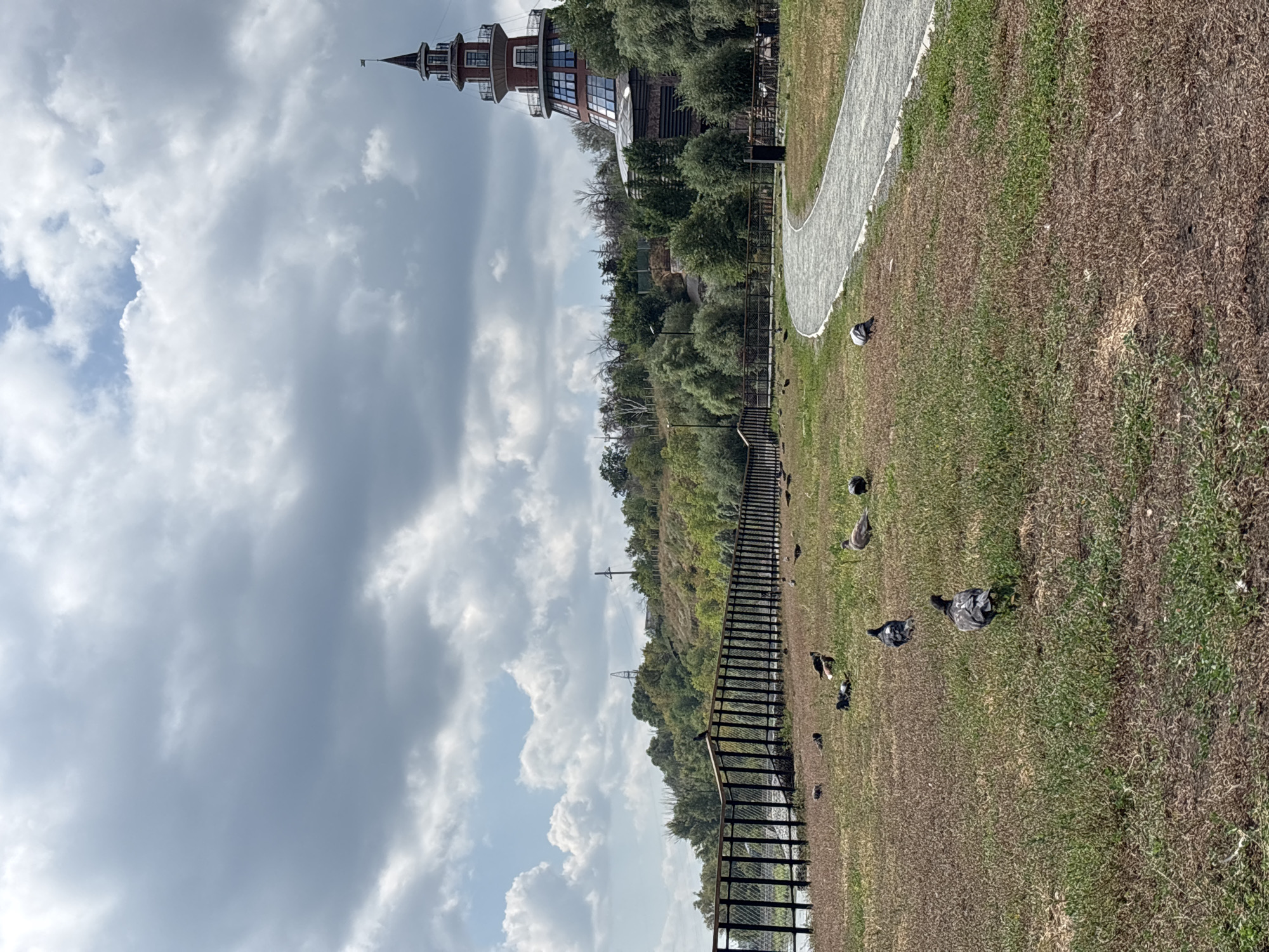 The image depicts a park setting with a paved pathway winding through a grassy area. Several pigeons are scattered across the lawn, some walking and others resting. A black metal fence runs along the left side of the image, separating the park from a body of water and a tree-lined embankment beyond. In the background, a distinctive tower building with a red and glass facade stands on a hill, surrounded by trees. The sky is partly cloudy, with a mix of grey and white clouds. The scene is likely located in Orenburg, Russia, possibly near the embankment of the Ural River, given the architectural style of the tower building and the natural landscape. No people are visible in the image.