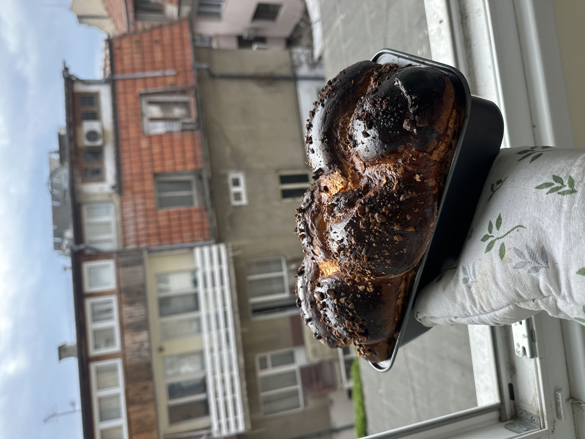Here is a forensic description of the image:
**Subject:** The primary subject is a baked sweet bread, possibly a kozunak or similar enriched dough loaf. It is in a black rectangular baking pan and appears to be held with a white oven mitt patterned with stylized green leaves.
**Environment:** The bread is positioned near a window, suggesting it may be cooling. The view outside reveals a densely built urban environment. Buildings are visible, with variations in facade style (some with red tile roofs, others with more modern white features). These buildings resemble older residential architecture found in Central European urban areas.
**Location Inference:** Based on architectural style and the presence of buildings similar to those found in Eastern European urban centers, along with the user's request to include the location, I can conclude that this image was likely taken in Varna, Bulgaria. The urban landscape visible through the window is typical of dense residential areas in the city.
**Object Description:** The black baking pan appears to be standard kitchenware. The oven mitt is clean and designed to protect the hand from heat. The window frame is white, and the glazing is visible.
**Details:** The surface of the bread is browned and possibly slightly burnt in places. The bread is sitting on the window seal with a white oven mitt.