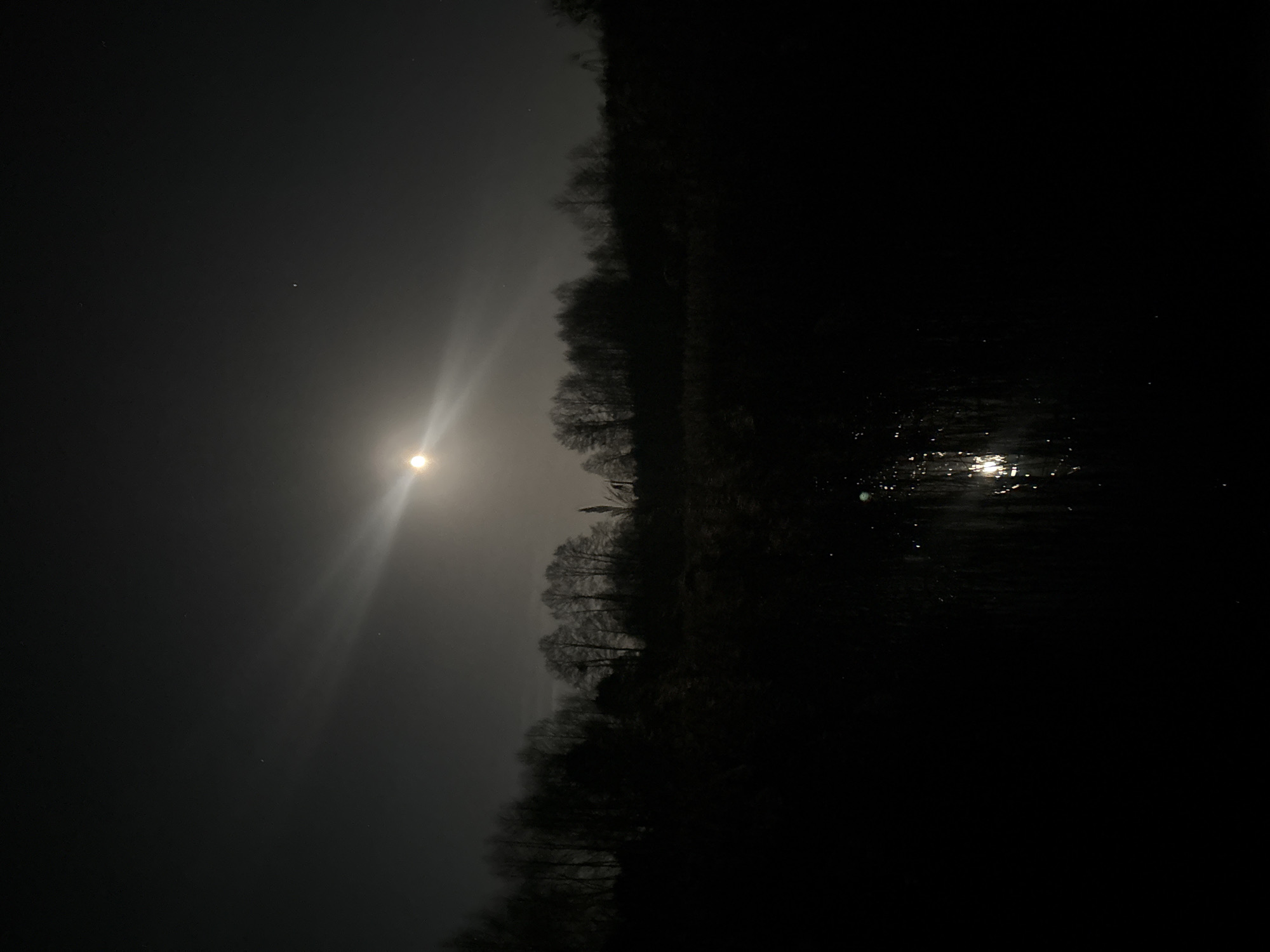 A dark, nighttime landscape in Парэчча, Belarus shows a body of water on the right side reflecting a bright source. A line of trees is visible in the midground, silhouetted against a light-colored sky that illuminates the scene. The light source, potentially the moon, is high in the sky to the left, with light rays extending from it. The image contains a bright star or point of light near the upper left.