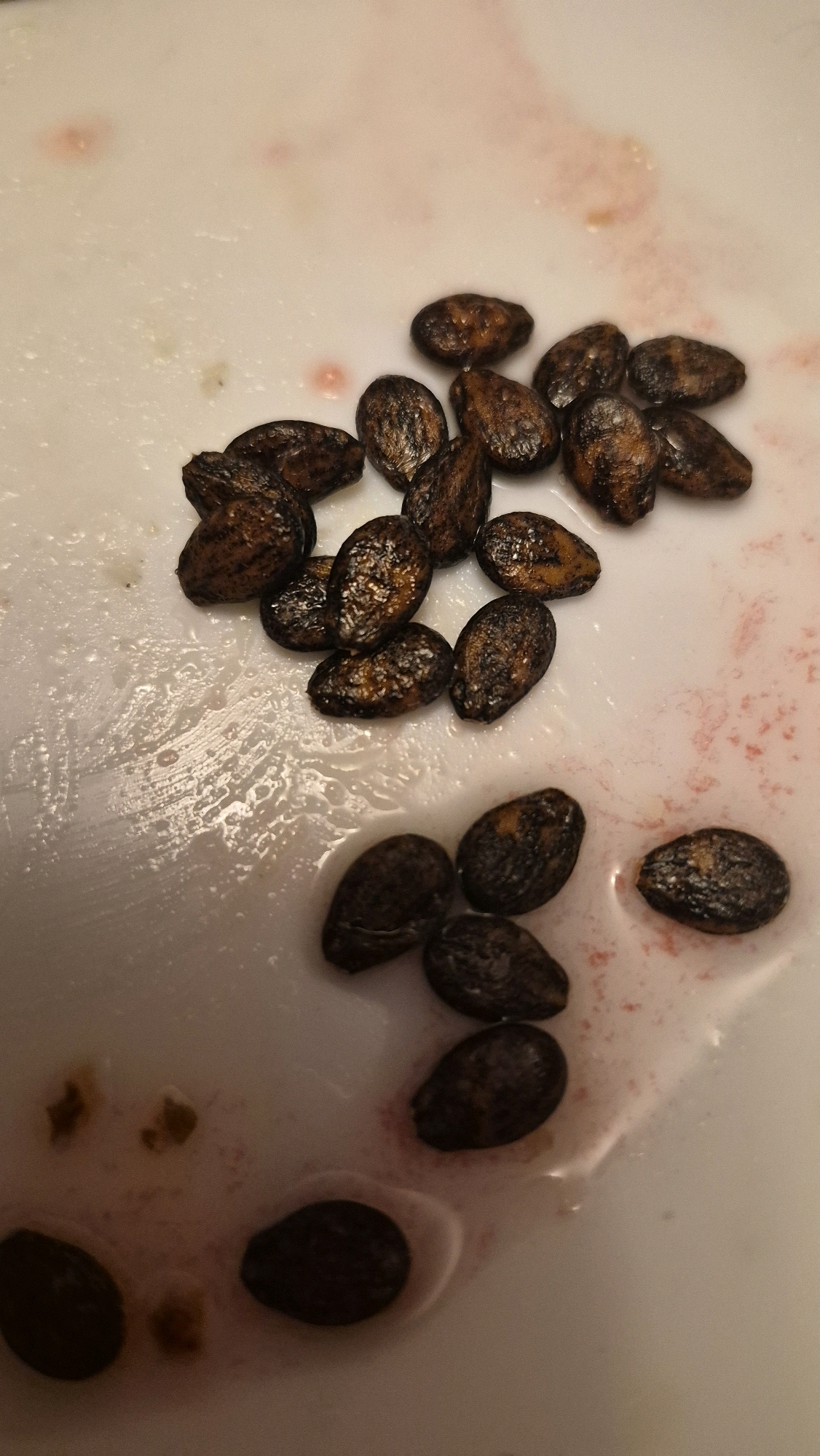 The image displays a collection of dark brown, oval-shaped watermelon seeds scattered across a white, wet surface, likely a plate or cutting board. Some of the seeds show a glossy sheen, suggesting they are moist. Reddish-pink juice stains are visible on the white surface, indicating the seeds were recently removed from a watermelon. The lighting is dim, creating shadows and highlighting the texture of the seeds. There are no people or other objects visible in the frame. The image does not provide any information about the location in the city of Krauja, Latvia.