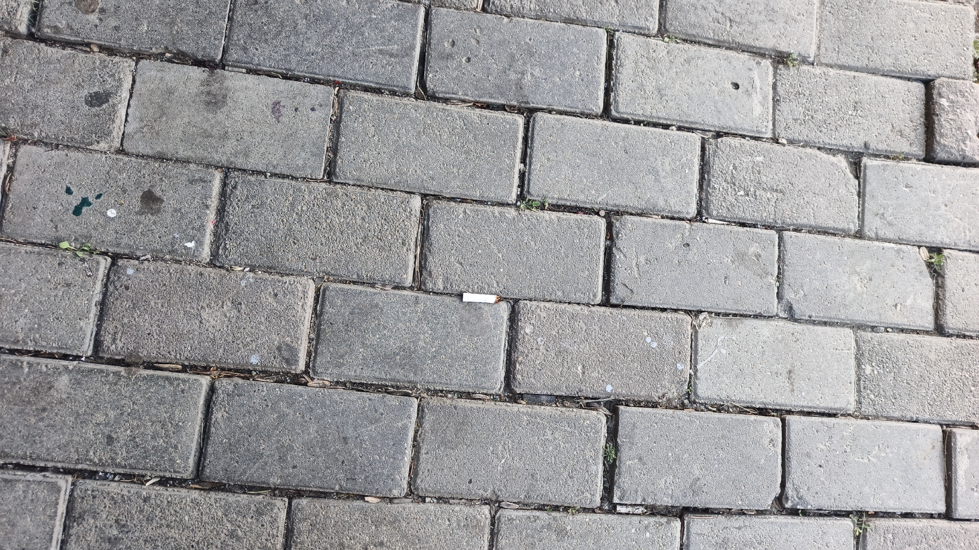 This media file is an overhead shot of a paved walkway or street in Yekaterinburg, Russia. The ground is covered with rectangular, grey cobblestones laid in a staggered pattern. There are small weeds and debris in the gaps between some of the stones.
The most prominent object is a single, discarded cigarette butt lying horizontally across two cobblestones in the lower-middle section of the image. There are also some small, faint splotches of color on some of the stones, possibly paint or other residue, particularly in the upper left quadrant.
The lighting suggests it is daytime, with sunlight casting shadows that are not very prominent, indicating either diffused light or a time of day with a relatively high sun. The overall scene is mundane and appears to be an everyday outdoor environment. There is no text visible in the image.