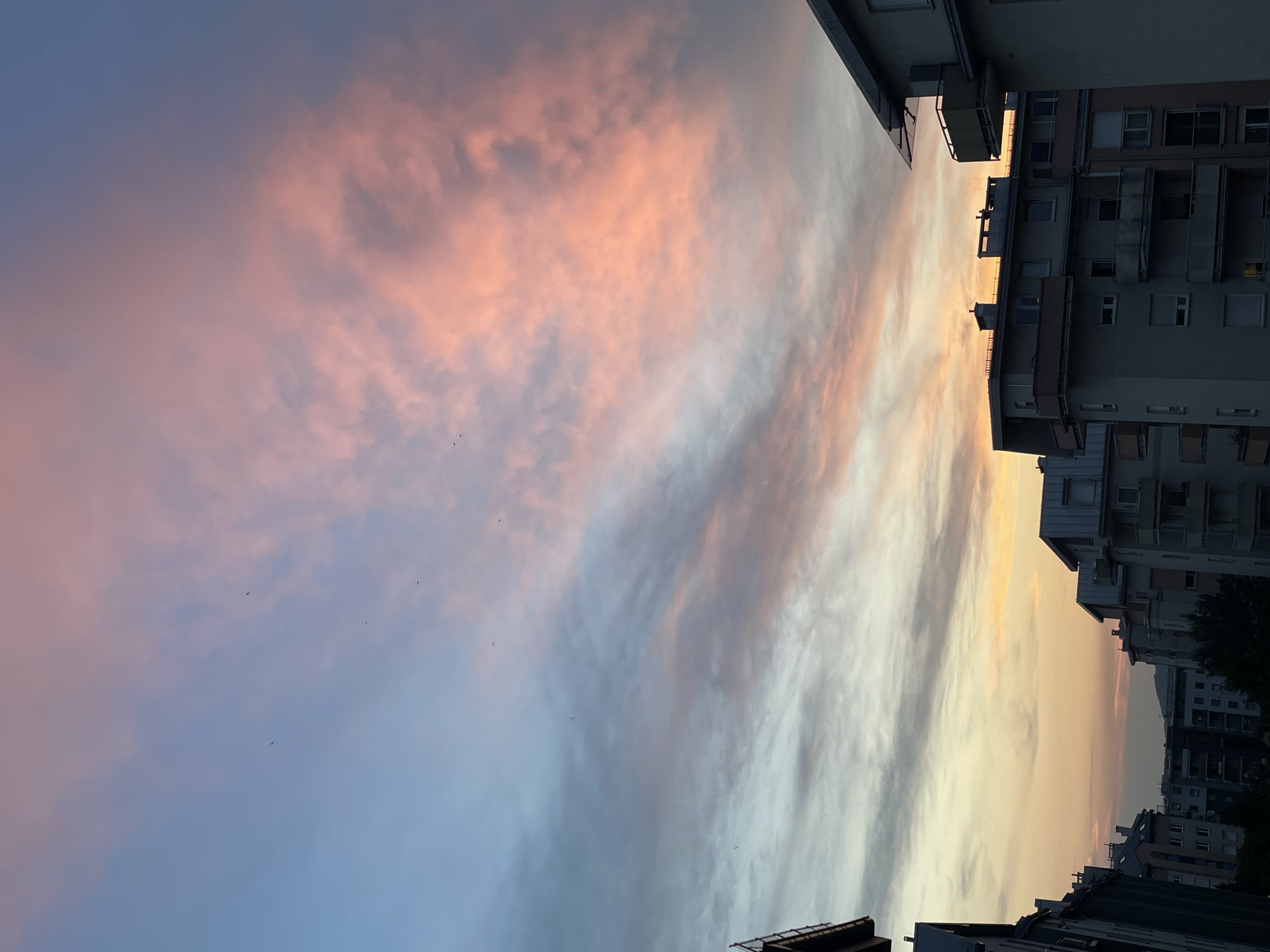 The media file depicts a sky at sunset, with buildings on the right side of the frame. The sky is filled with dramatic clouds, painted in hues of pink, orange, and blue. The sun appears to be low on the horizon, casting a warm glow on the clouds. Several birds are visible in the sky, adding a sense of movement and life to the scene. The buildings are typical of an urban environment, with multiple stories and balconies. The image is taken from a low angle, looking up towards the sky. The overall mood is one of tranquility and beauty, with the vibrant colors of the sunset creating a breathtaking spectacle. The time of day is clearly sunset, given the colors in the sky. There are no discernible people or text in the image. The location is urban, suggested by the presence of buildings.