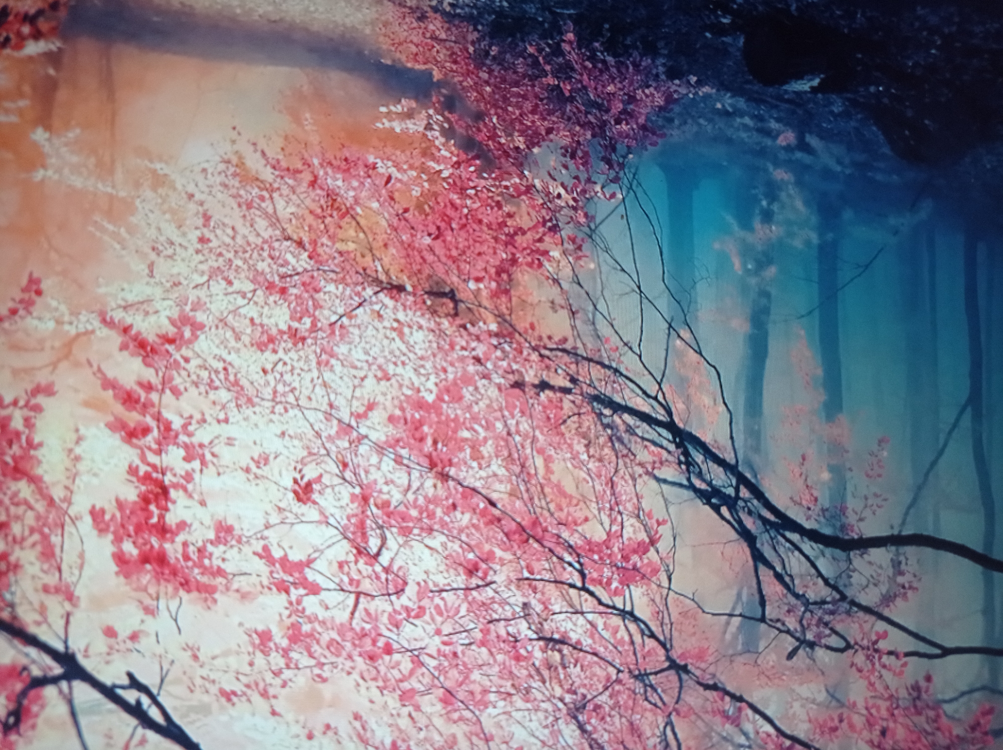 The image depicts a foggy forest scene with vibrant pink and red foliage. Dark tree branches, some bare and others laden with leaves, dominate the foreground. The background is a blur of muted blues and oranges, with the suggestion of trees fading into the mist. The ground appears to be covered in dark, damp earth and scattered leaves, with a dark object, possibly a log or a rock, partially visible in the lower left corner. The overall impression is one of an ethereal, perhaps autumnal, woodland atmosphere. This image does not contain any information that would suggest its location in the city of Mukachevo, Ukraine.