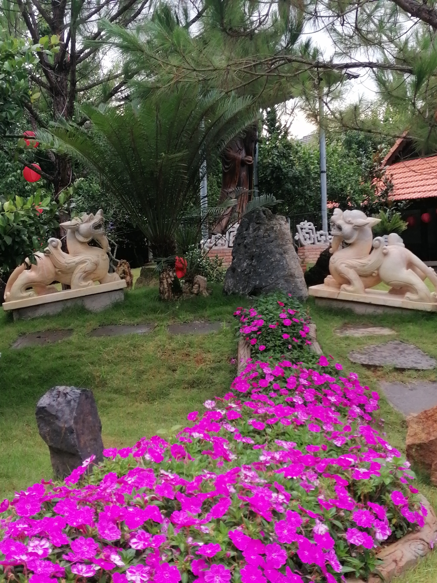 The image depicts an outdoor garden scene in Lâm Viên - Đà Lạt, Vietnam. In the foreground, a dense bed of vibrant pink impatiens flowers covers a significant portion of the lower frame, with some white accents visible on the petals. Behind the flowers, a large, dark, upright stone stands to the left, and a section of a large, irregularly shaped dark rock formation is visible behind it and to the left of center.
To the left of the frame, a light-colored stone sculpture of a mythical creature, possibly a qilin or kirin, sits on a raised platform. The creature is depicted in a seated posture, facing left with its mouth slightly open and intricate detailing on its mane and body. Further back, a large sago palm with its characteristic stiff, frond-like leaves dominates the mid-ground. To the right of the sago palm, another, larger, dark rock formation is visible.
To the right of the frame, a second, identical stone sculpture of the mythical creature is positioned on a similar raised platform, facing right. Behind this sculpture and the rock formation, a traditional Vietnamese-style building with a reddish-brown tiled roof is partially visible. A red lantern hangs from the eaves of the building. Various green foliage, including trees and bushes, fills the background, with pine needles visible in the upper portions of the image. Red spherical lanterns are also visible hanging from trees in the background on the left side. The ground is covered in green grass, with stone pathways visible in places. The overall impression is one of a meticulously landscaped garden with cultural elements.