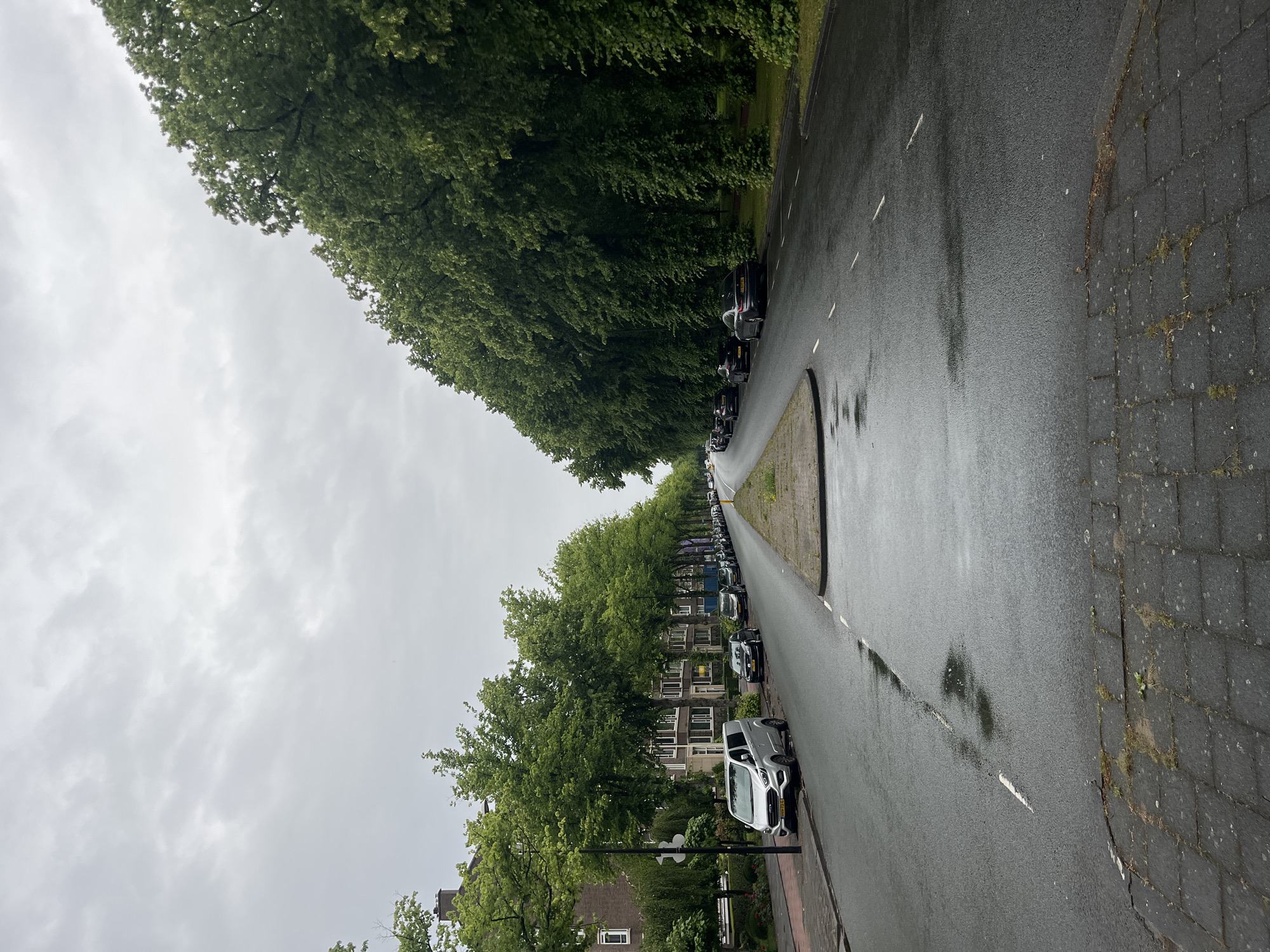 The image shows a street lined with trees on both sides in a city. The road is wet, indicating it may have rained recently. Cars are parked along the street and a few are driving in the distance. Buildings can be seen on the left side of the street, and on the right side, there are more trees and a grassy area. The sky is overcast with clouds.