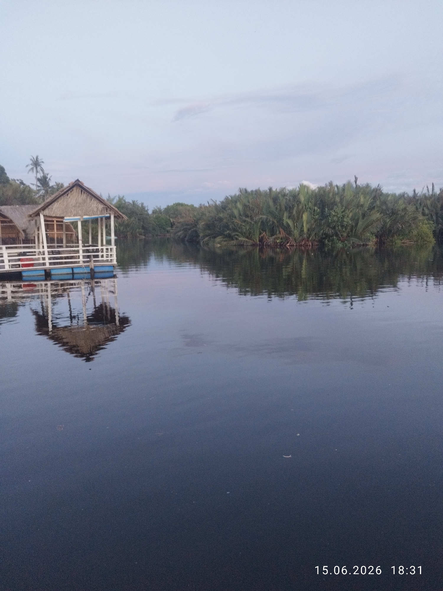 This image shows a floating hut on the Preaek Tuek Chhu River in Kampot, Cambodia, with a dense wall of tropical vegetation in the background. The hut, constructed with a thatched roof and white wooden railings, is reflected in the calm, dark water. Palm trees are visible on the left side of the frame. The sky is overcast with a pale blue and pink hue, suggesting it is either dawn or dusk. A date and time stamp, "15.06.2026 18:31", is visible in the lower right corner of the image. There are no people or animals visible in the scene.