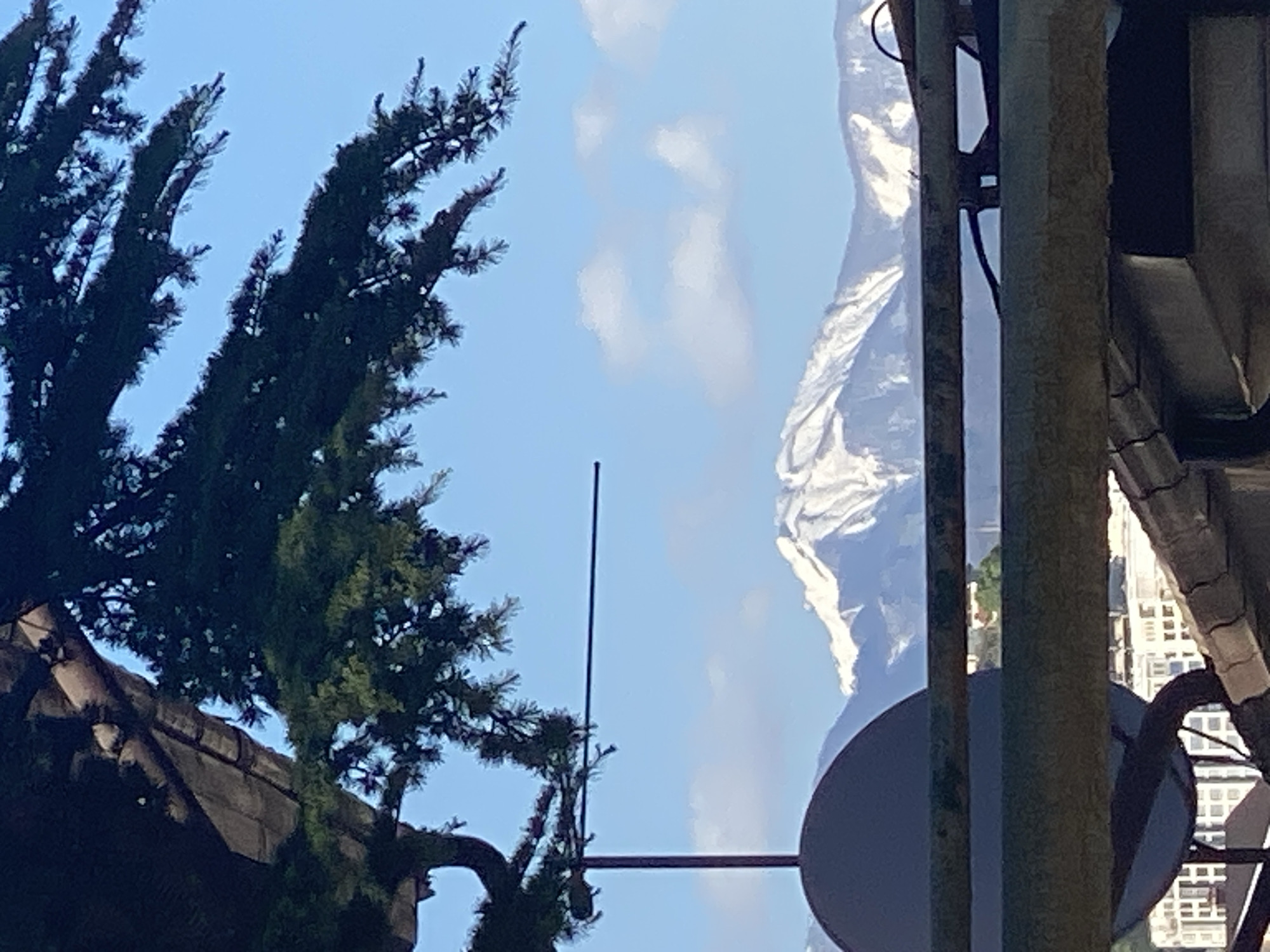 The image, initially rotated 90 degrees counter-clockwise, depicts a vibrant scene blending natural and man-made elements under a clear blue sky dotted with scattered white clouds.
In the foreground, a prominent dark green coniferous tree, likely a cypress or fir, occupies the left side of the frame, its dense branches and foliage reaching upwards. On the right, various man-made structures are visible. These include the dark, textured roofline or upper portion of a building, alongside several vertical poles or masts. One of these poles supports a dark, circular satellite dish, while a thin, dark horizontal bar extends from another pole, cutting across the sky.
Dominating the background, a majestic, snow-capped mountain range with rugged, white peaks and grey rock formations stands out against the light blue sky. Its distinct contours are clearly visible through the gaps in the foreground structures.
The bright, natural lighting suggests the photograph was taken during the daytime. There is no discernible activity or visible text. The blend of urban infrastructure with a grand, snow-covered mountain backdrop points to a mountainous coastal city, consistent with the provided location context of Sochi, Russia, with its proximity to the Caucasus Mountains.