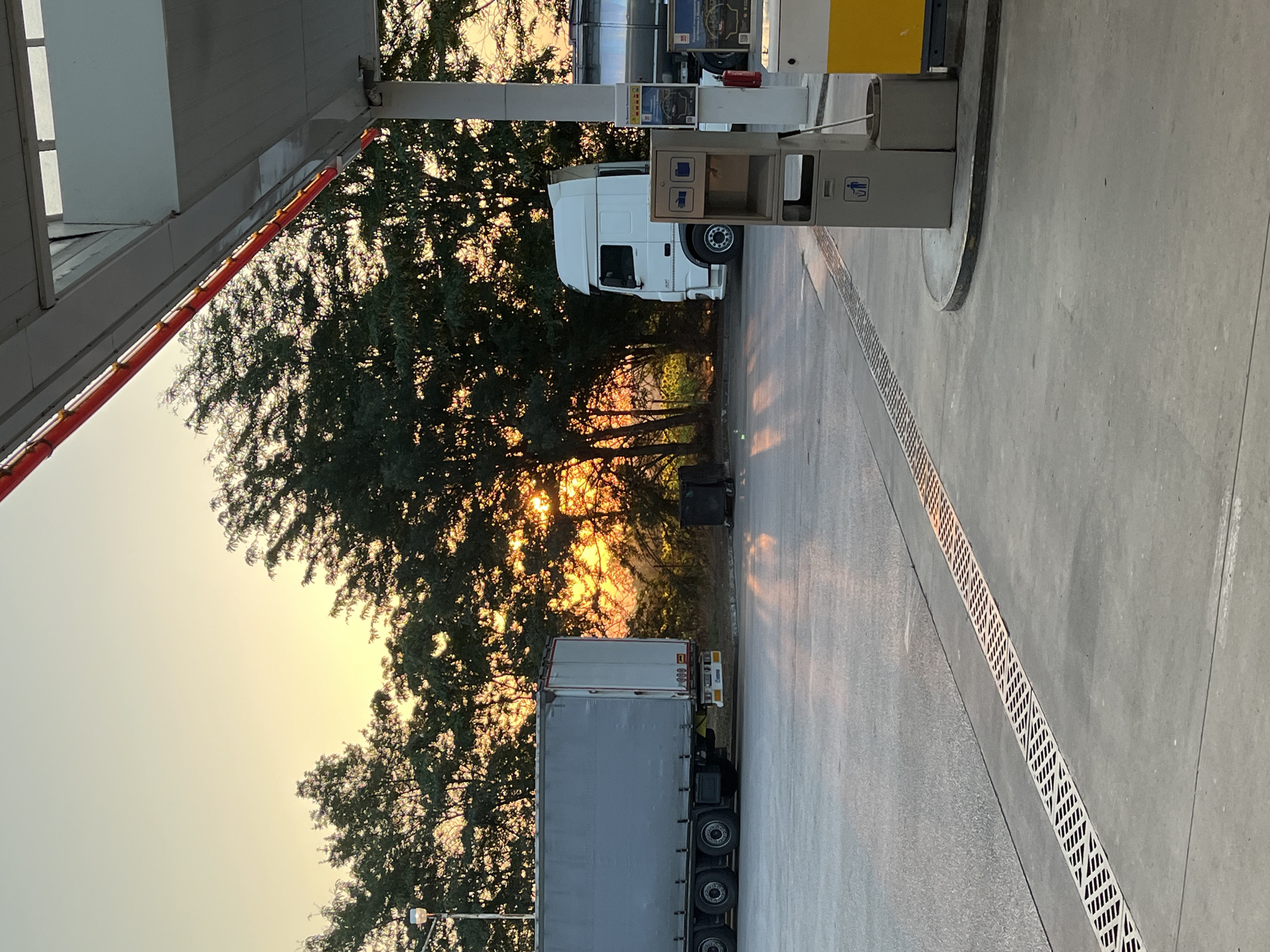 The image depicts a gas station located in Gorni Dabnik, Bulgaria, during a sunset. A large, white semi-truck is parked on the asphalt lot, its trailer facing left. To the right, another white semi-truck is positioned near a gas pump, with a yellow and white fuel dispenser visible. In the background, a dense line of trees with lush green foliage creates a natural barrier, with the setting sun casting a warm, golden glow and long shadows across the scene. The sky above is a gradient of soft yellow and pale blue, indicating the approaching evening. The ground in the foreground is asphalt, with a drainage grate running diagonally across it. A grey trash receptacle is situated near the gas pump. The overall atmosphere is serene and quiet, suggestive of a brief pause in transit.
