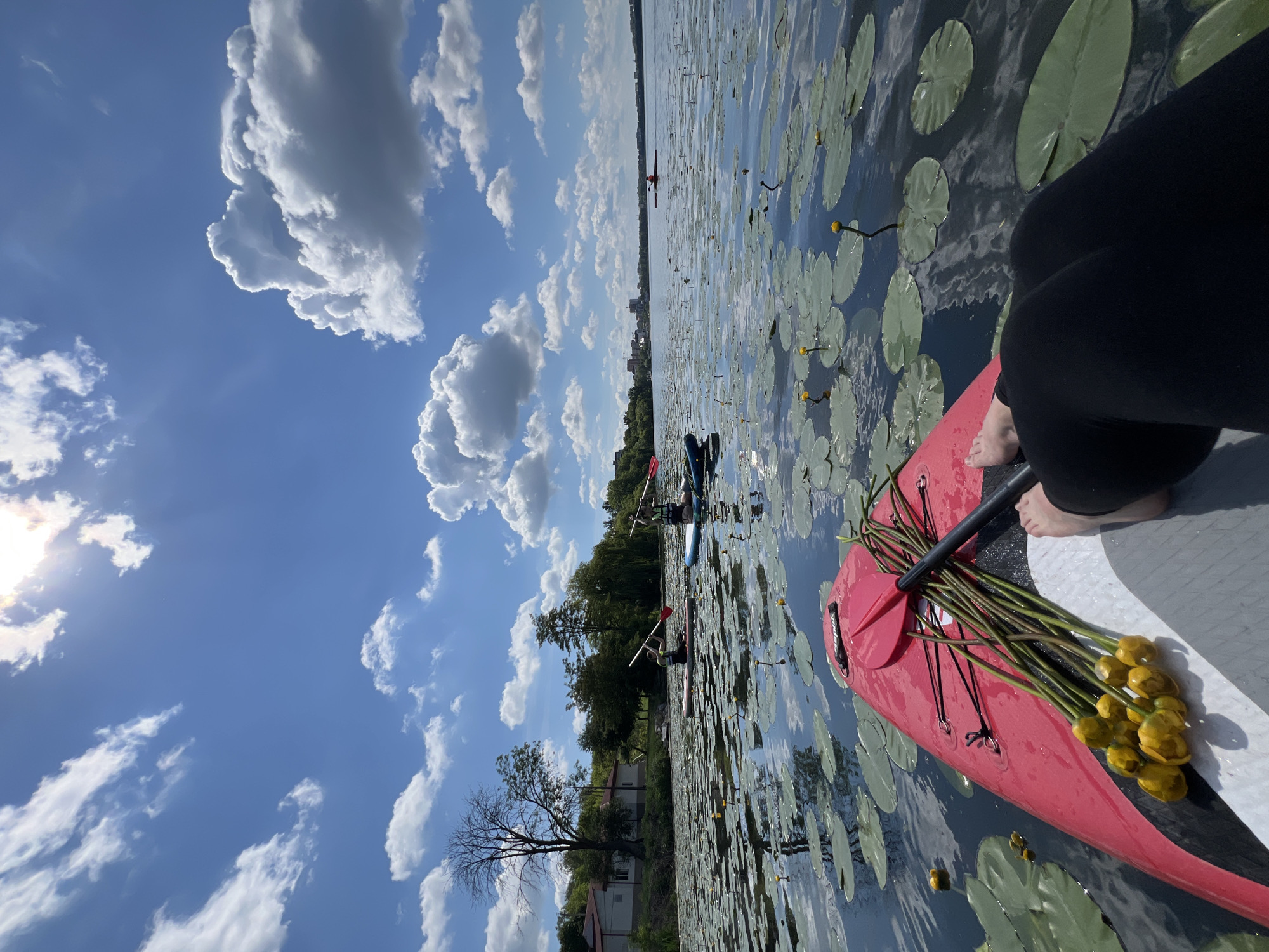 The image depicts a serene scene on a lake, likely in Bila, Ukraine, given the context of the question. In the foreground, a person is seated on a red and white paddleboard, with their legs clad in black leggings visible. A paddle and a bunch of yellow water lilies are also on the paddleboard. The lake is covered with numerous green lily pads, with a few yellow water lilies blooming amongst them.
In the middle ground, two other individuals are paddleboarding. They are wearing life vests and appear to be paddling. Further in the distance, another person is in a kayak. The lake is bordered by a lush green treeline, with buildings and structures visible on the far bank, suggesting a town or city in the background. The sky is a vibrant blue, dotted with fluffy white clouds, and the sun is shining brightly. The overall atmosphere is one of tranquility and outdoor recreation.
