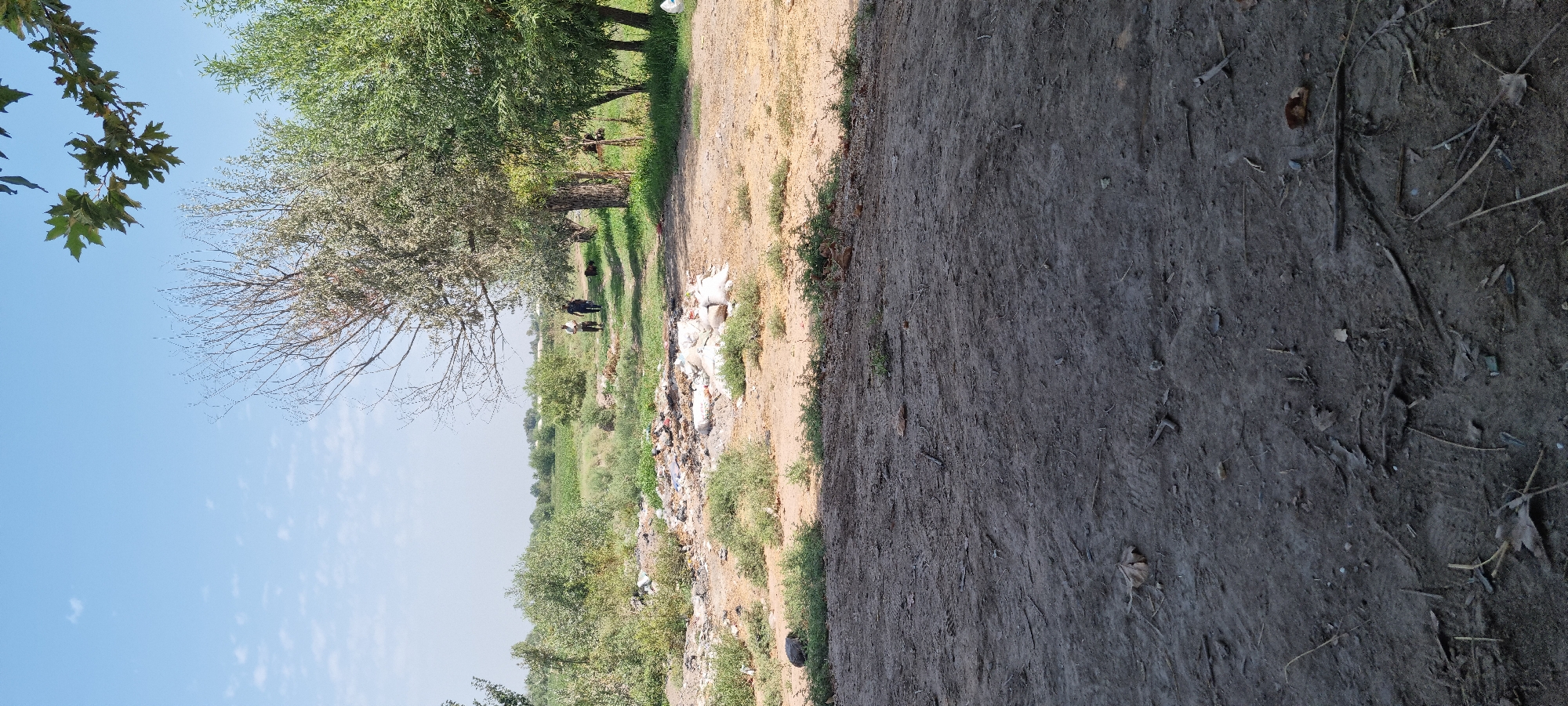 This image depicts an outdoor scene on a clear day, likely in the city of Ҷомӣ, Tajikistan. In the foreground, a dirt path or ground is visible, showing tire tracks and scattered leaves and twigs. Further into the frame, an area of disarray is present, characterized by piles of garbage and debris, including white bags and burnt material. Beyond this, two men are walking on a dirt path towards the right side of the image, with a dark-colored dog to their right. The background consists of lush green trees, some with sparse foliage, and agricultural fields. The sky is blue with scattered white clouds. The overall impression is a rural or semi-urban environment with evidence of human activity and waste disposal.