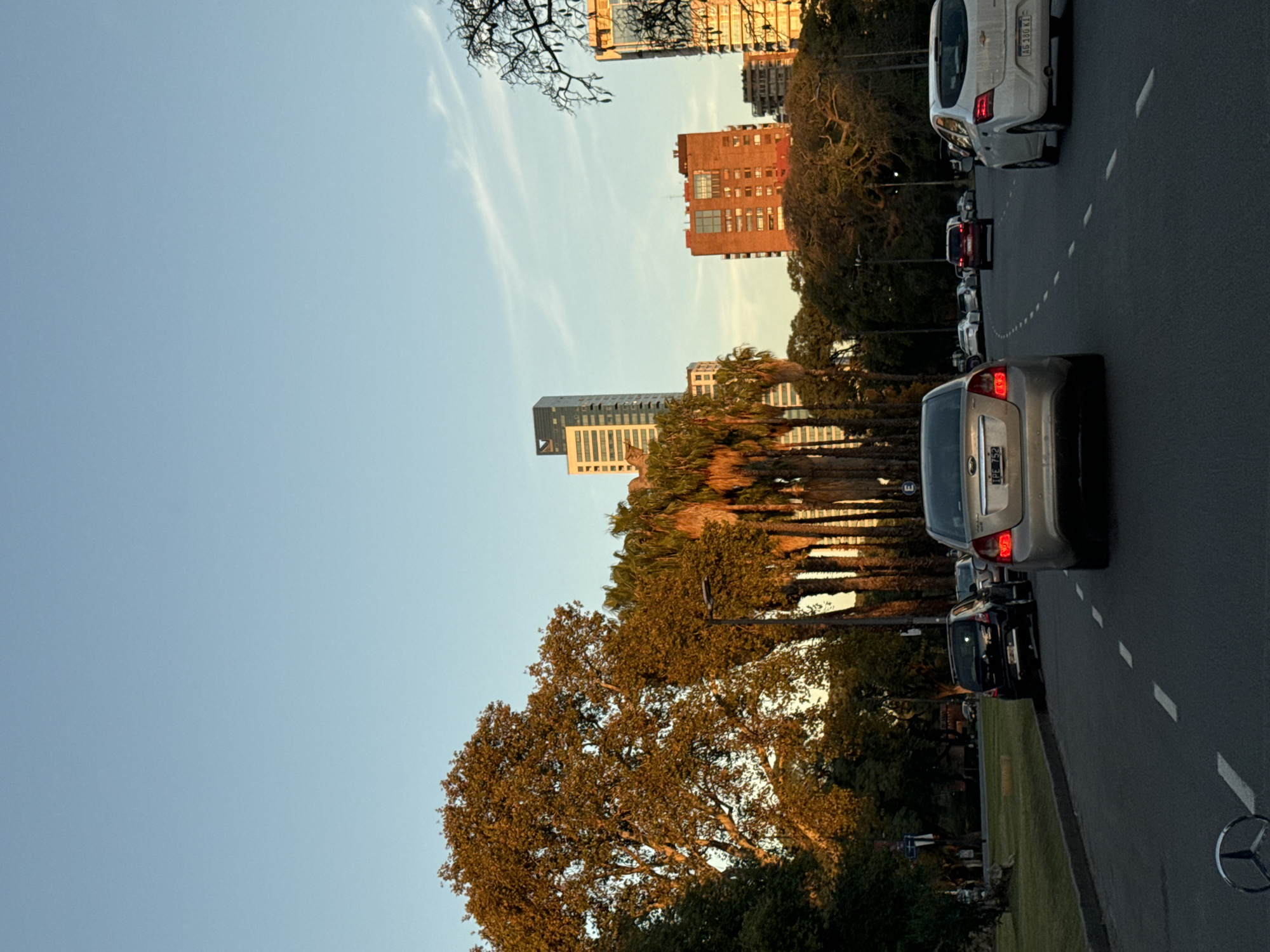 The image depicts a street scene in Buenos Aires, Argentina. The view is partially obstructed by trees. A multi-lane road is visible, with cars in the right lane. On the left side of the road, palm trees and other buildings are visible. The sky is light blue. The lighting suggests it is late afternoon or early evening. There are no people visible.