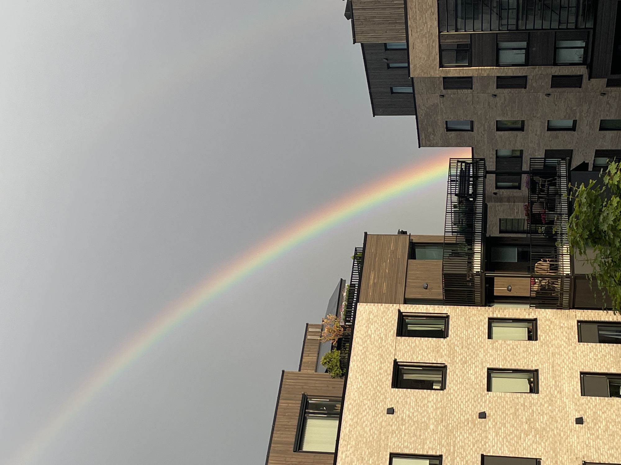 The image depicts a double rainbow arching across a grey sky over a modern urban setting in Rotnes, Norway. The foreground features two multi-story apartment buildings constructed with light-colored brick and dark wood accents. The buildings have numerous windows and balconies with black railings, some of which contain outdoor furniture and plants. The lower portion of the image includes greenery from trees. The primary rainbow is vibrant, with distinct bands of color, while a fainter secondary rainbow is visible to its right. The scene appears to be captured during daylight hours, likely after a rainfall, given the presence of the rainbows. No people are visible in the image.