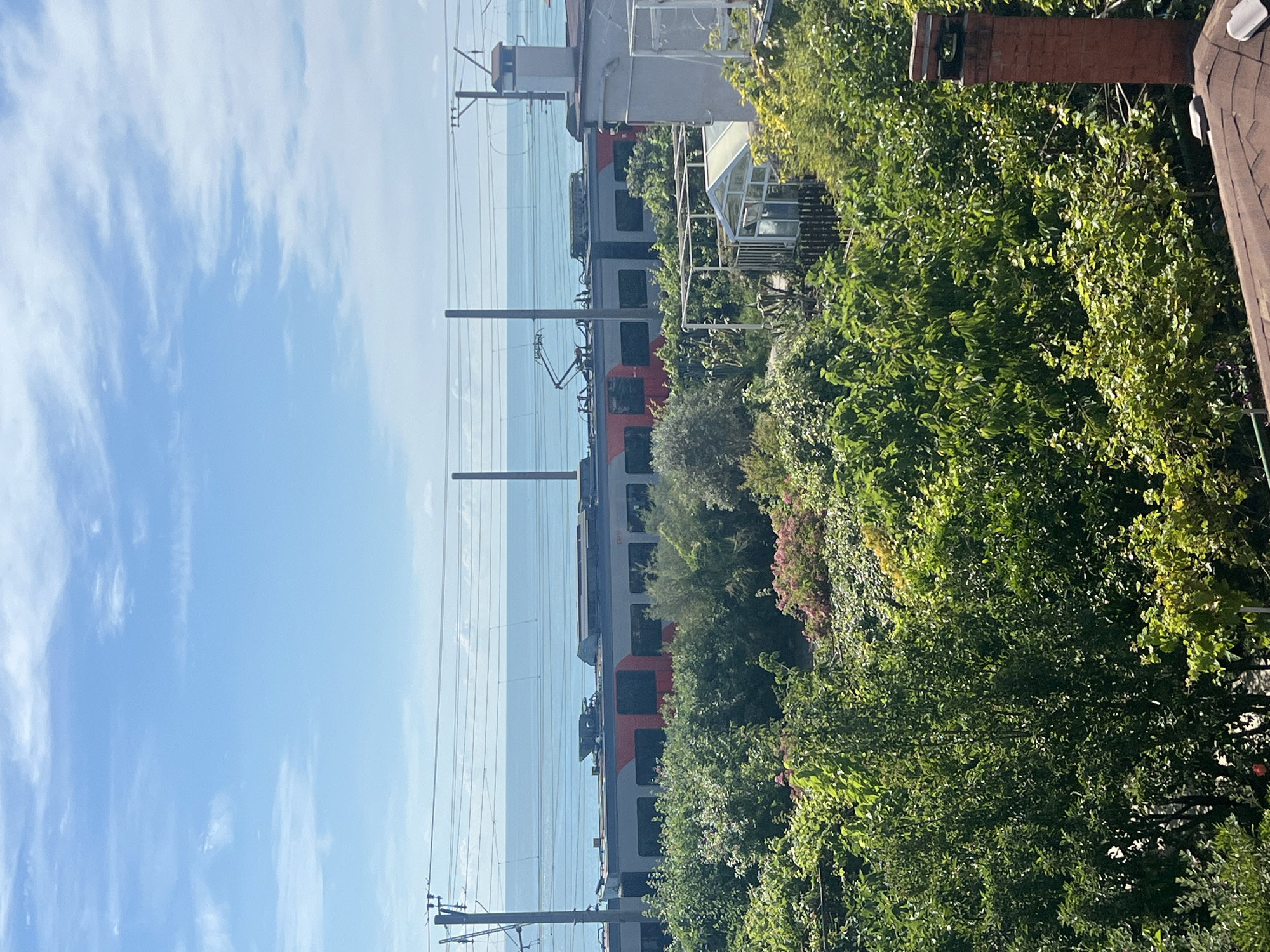 In a sunlit outdoor scene, a train with red and gray cars travels along tracks that are elevated by poles. The train is positioned in front of a calm, blue body of water, possibly the sea, and a hazy sky with scattered clouds. Below the train tracks, a dense collection of lush green trees and bushes, some with pink flowers, covers the foreground. A white structure with a chimney, likely a house or building, is visible on the right side of the image, with a brown roof in the lower right corner. A small greenhouse structure is nestled within the foliage. The overall impression is of a suburban or coastal setting with a focus on nature and a passing train.