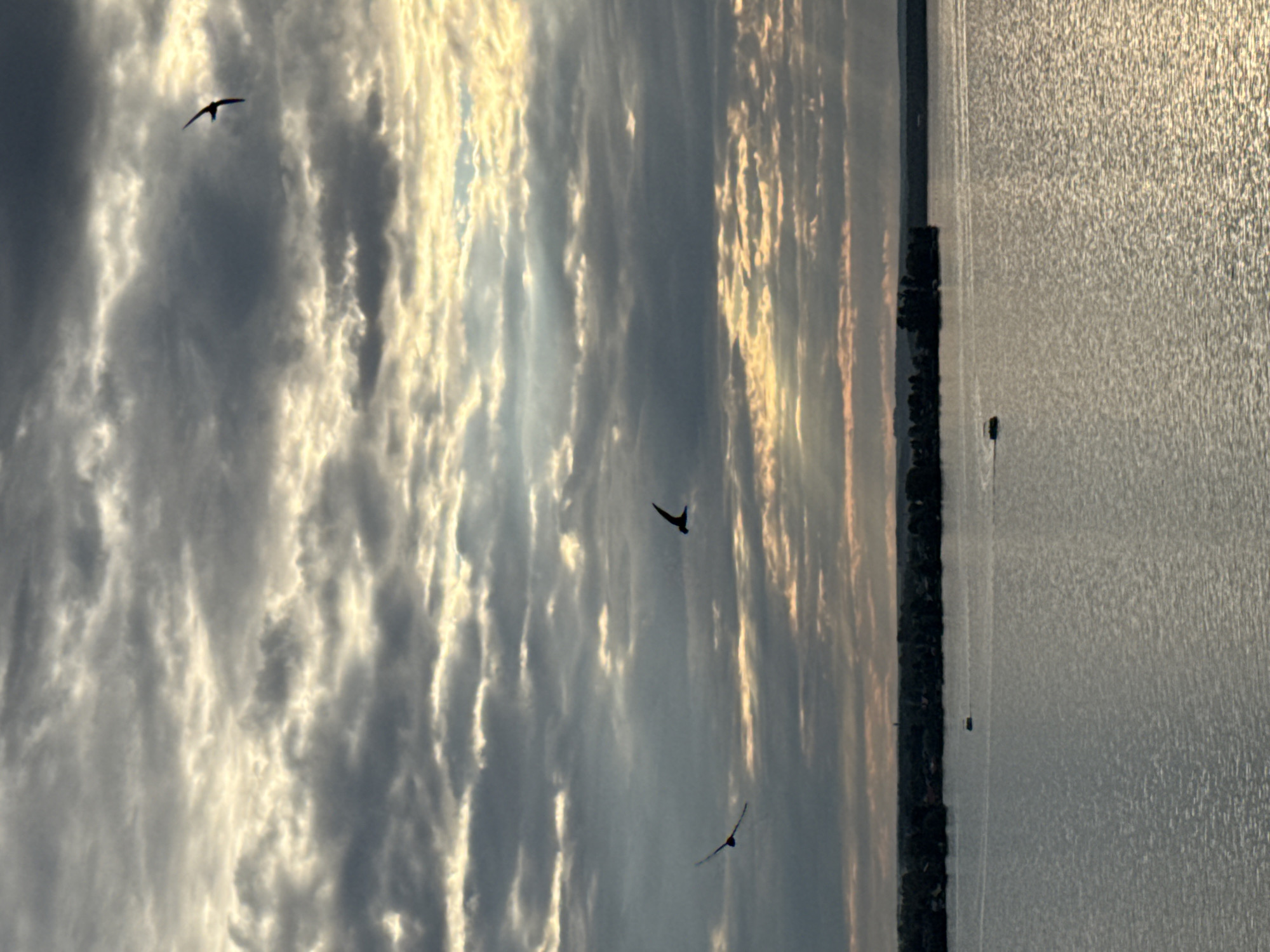 The image depicts a wide, calm body of water, likely a lake or reservoir, with a distant tree-lined shore. The sky above is overcast with dramatic, textured clouds, allowing shafts of sunlight to pierce through. Several birds are in flight against the cloudy backdrop. In the middle distance, a small boat is visible on the water, leaving a faint wake. The overall scene suggests a natural landscape with a hint of human activity. The image does not provide any specific clues to identify the location as Votkinsk, Russia.