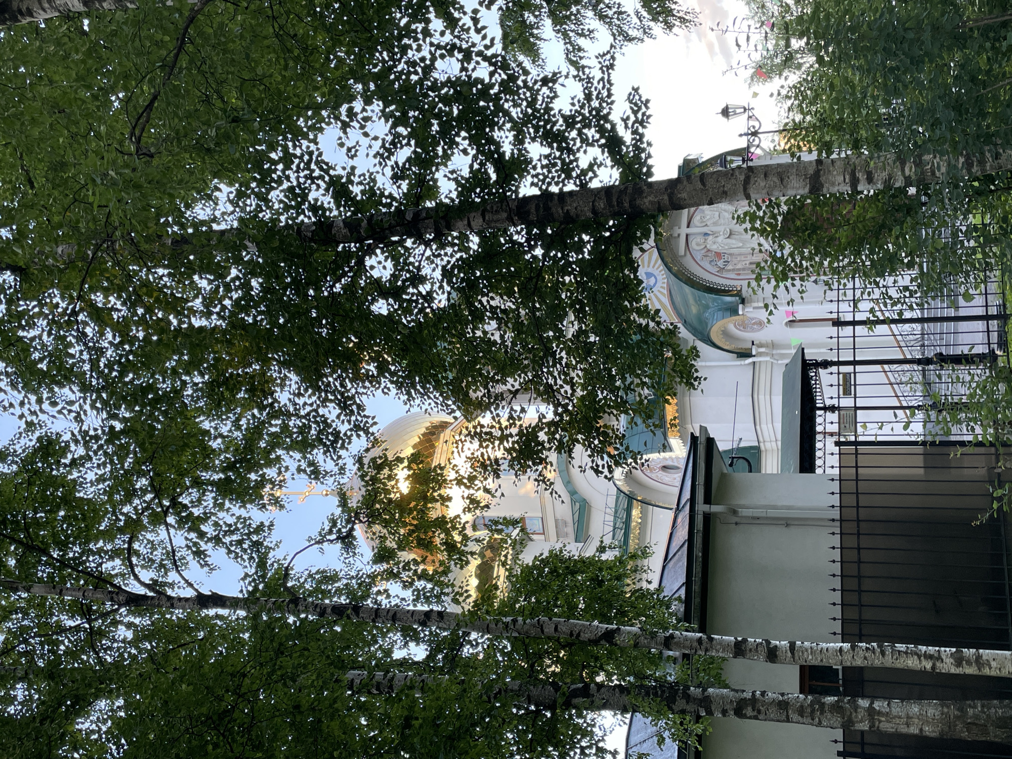 The image, oriented vertically, captures a view through the canopy of green birch trees, with their distinctive white bark and black markings prominent in the foreground. The trees are lush with leaves, creating a dappled effect as sunlight filters through.
Beyond the trees, the upper portion of a grand white building, likely a church or cathedral, is visible. It features decorative white stucco work, including what appears to be a mosaic or relief depicting figures, possibly religious in nature, centered around a cross. A large, golden dome or cupola with rounded windows is also visible, reflecting the sunlight. The architecture suggests a style common in Orthodox churches.
A black metal fence runs across the mid-ground, partially obscuring the building. The fence is comprised of vertical bars with decorative finials. The overall scene is bathed in the warm light of what appears to be late afternoon or early evening. The sky is a pale blue, with some wispy clouds.
The image was taken in Saint Petersburg, Russia. There is no discernible text visible in the image. The overall impression is one of serene beauty, with nature intertwined with the splendor of religious architecture.