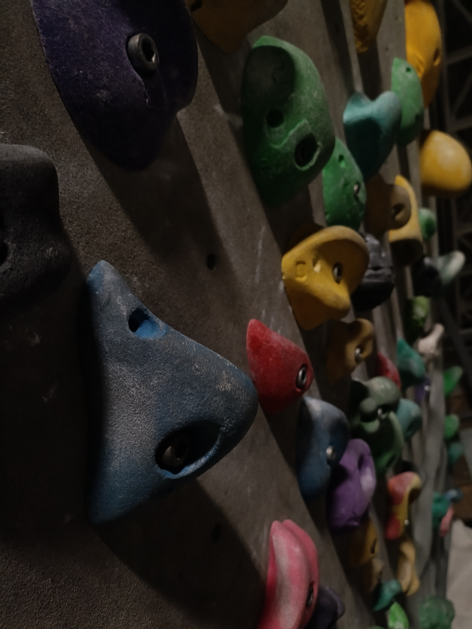 The image shows a close-up view of a climbing wall with various colored climbing holds attached. The holds are of different shapes and sizes and are arranged on a textured gray wall. The scene appears to be indoors, possibly in a climbing gym. The climbing holds are brightly colored and contrast with the gray wall. Based on the prompt, the location may be a climbing facility in Krasnoyarsk, Russia.