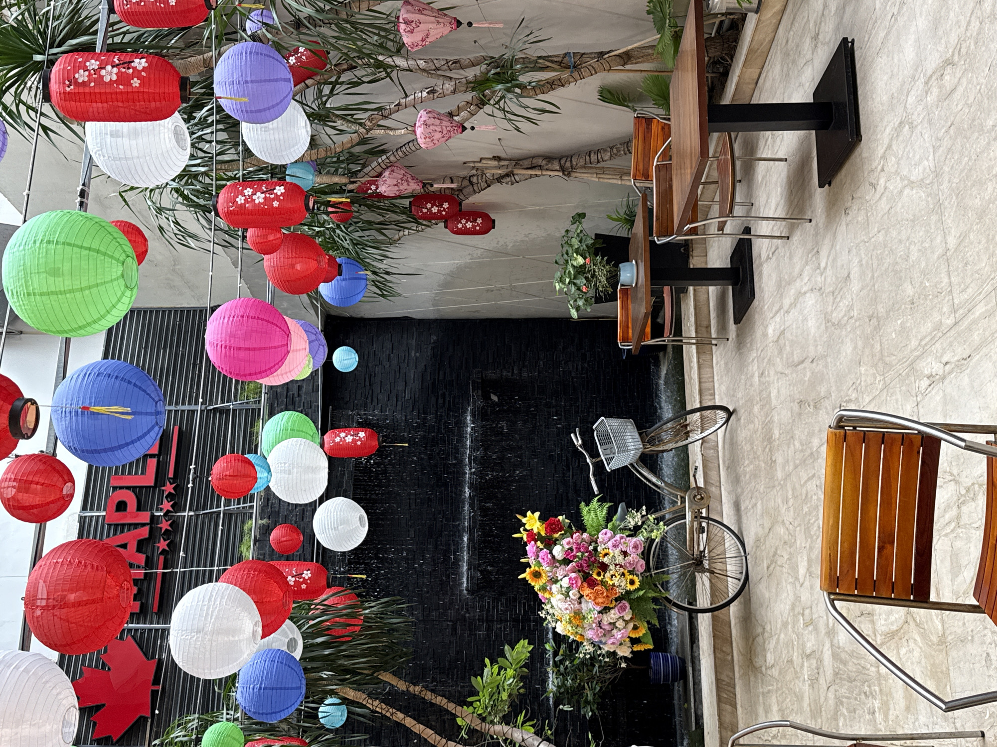 The image captures an intricately decorated indoor or semi-outdoor space, possibly a cafe or restaurant in Nha Trang, Vietnam. The ceiling is adorned with a profusion of colorful paper lanterns in various shapes and sizes, including round, cylindrical, and fan-shaped designs. These lanterns exhibit a vibrant palette of red, white, green, blue, pink, and purple. Several red cylindrical lanterns are embellished with delicate white cherry blossom patterns.
Lush green, palm-like plants with wrapped trunks are integrated into the decor, creating a natural and inviting atmosphere. Below the lanterns and greenery, a seating area features wooden tables with sturdy black metal bases and matching wooden chairs with metal frames.
A vintage-style bicycle with a silver front basket is prominently displayed against a dramatic black, textured wall that functions as a water feature, with water gently cascading downwards. The bicycle's basket is overflowing with a vibrant and bountiful bouquet of colorful fresh flowers, including yellow sunflowers, pink and orange roses, and various other blossoms. The floor and an adjacent wall are made of a light-colored, possibly marble or tiled, material.
No people are present in the scene. On a dark vertical panel behind some lanterns, partial text "APLE" is visible, along with four stars and a red maple leaf symbol, suggesting the establishment might be named "Maple". The setting appears well-lit, likely during the day or in a brightly illuminated interior, creating a cheerful, festive, and welcoming ambiance.