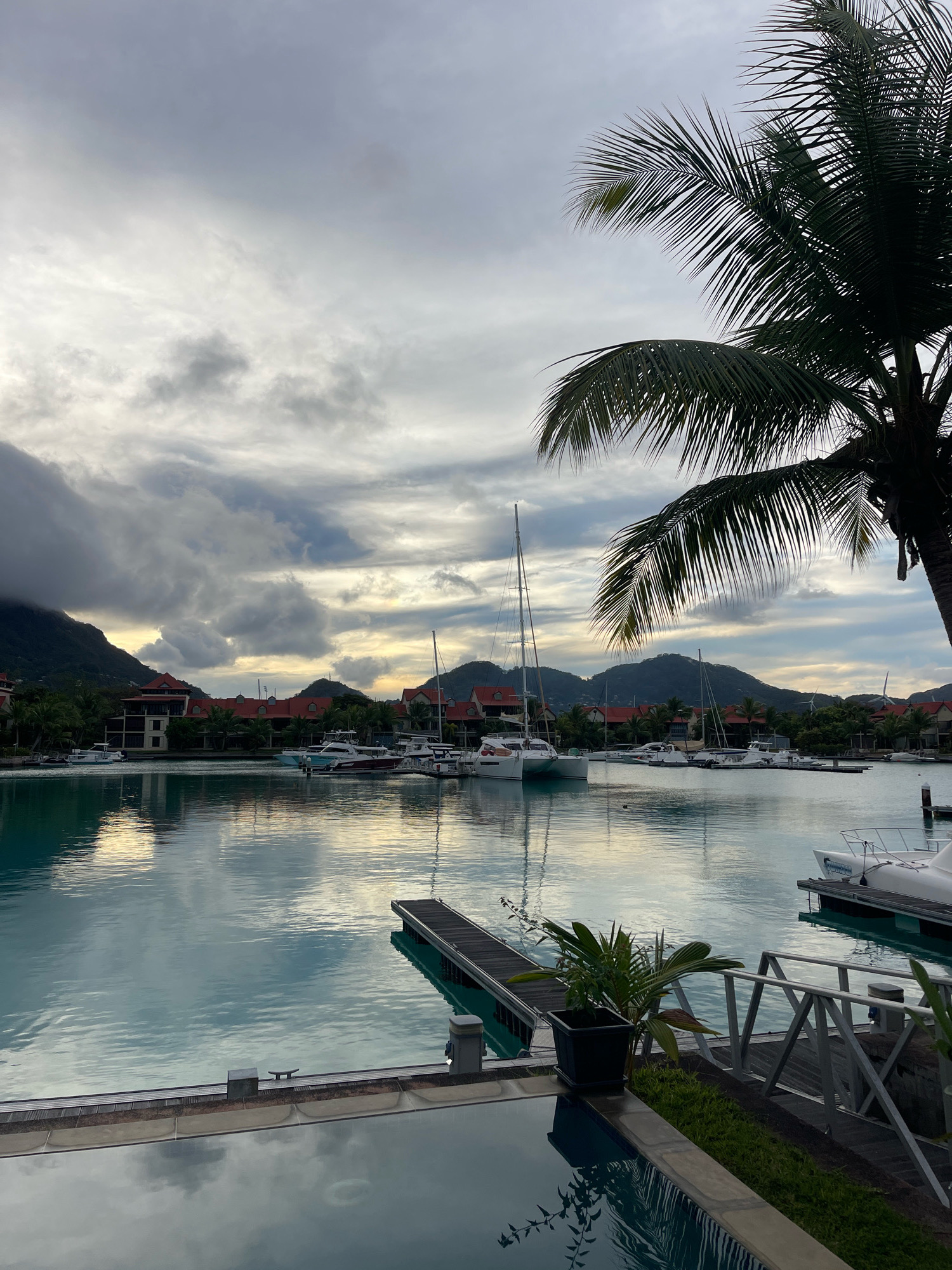 This image depicts a serene marina scene in Victoria, Seychelles. The foreground features a swimming pool with still, reflective water, bordered by a paved area with some greenery and a potted plant. To the right, a metallic railing separates the pool area from a wooden dock.
The middle ground is dominated by a tranquil body of water filled with various boats, including sailboats and yachts, docked and moored. The water reflects the sky and the surrounding buildings. A wooden jetty extends into the water from the right side of the image.
In the background, a line of buildings with red-tiled roofs and balconies are visible, nestled amongst lush green trees. Beyond the buildings, rolling, cloud-covered hills rise up, with the dramatic, overcast sky completing the landscape. A large palm tree with its fronds frames the upper right corner of the image, adding a tropical element. The overall atmosphere is peaceful and tranquil, likely captured during early morning or late evening given the subdued lighting and cloud cover.