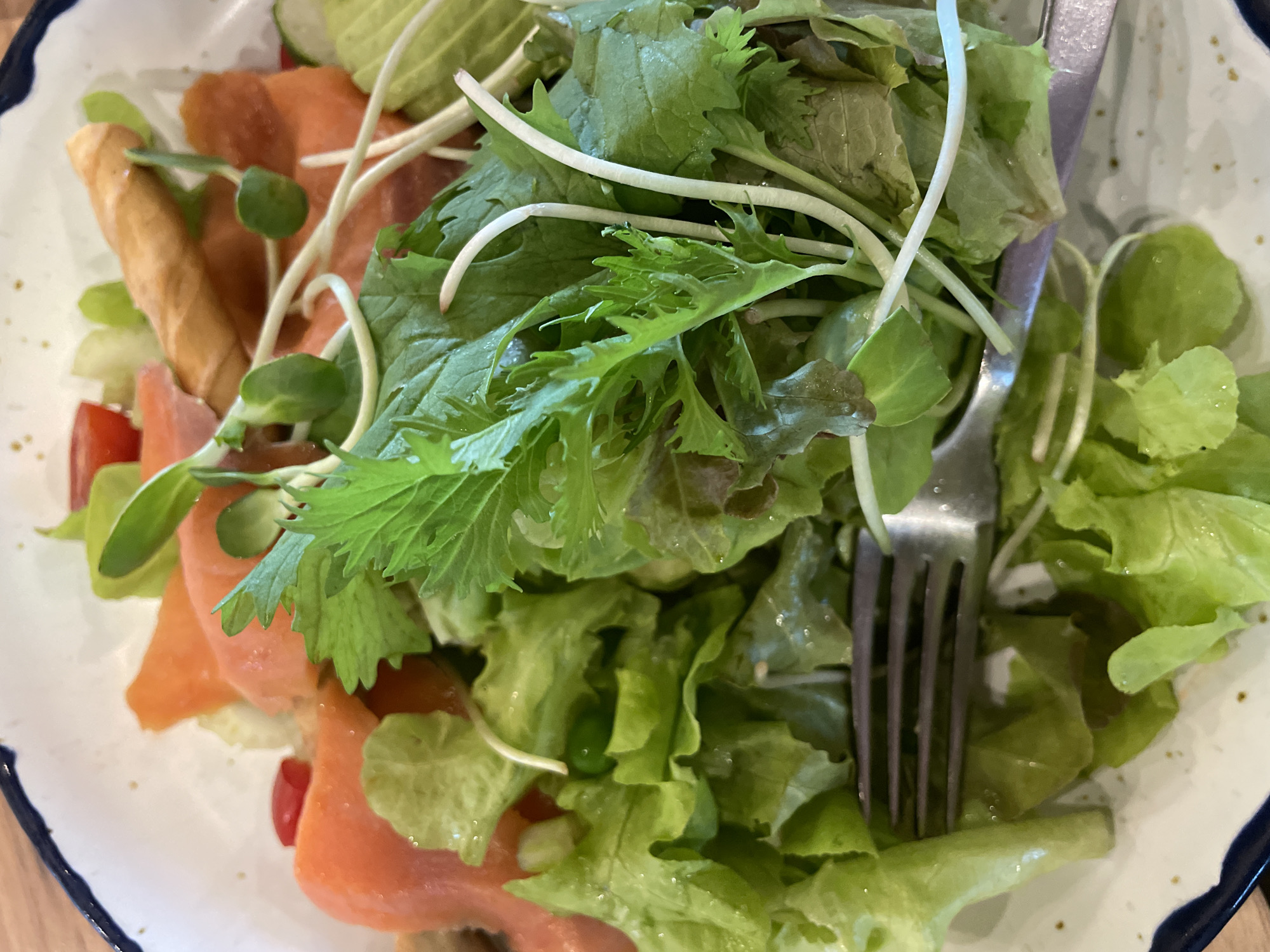 A close-up, overhead shot shows a salad in a white bowl with a dark blue rim. The salad contains slices of salmon, lettuce, sprouts, and what appears to be a small piece of pastry. A fork is visible in the lower left of the frame, resting on the salad. The lighting is bright, and the salad appears fresh. The background is blurred but suggests a wooden surface. There are no people or animals visible in the image.