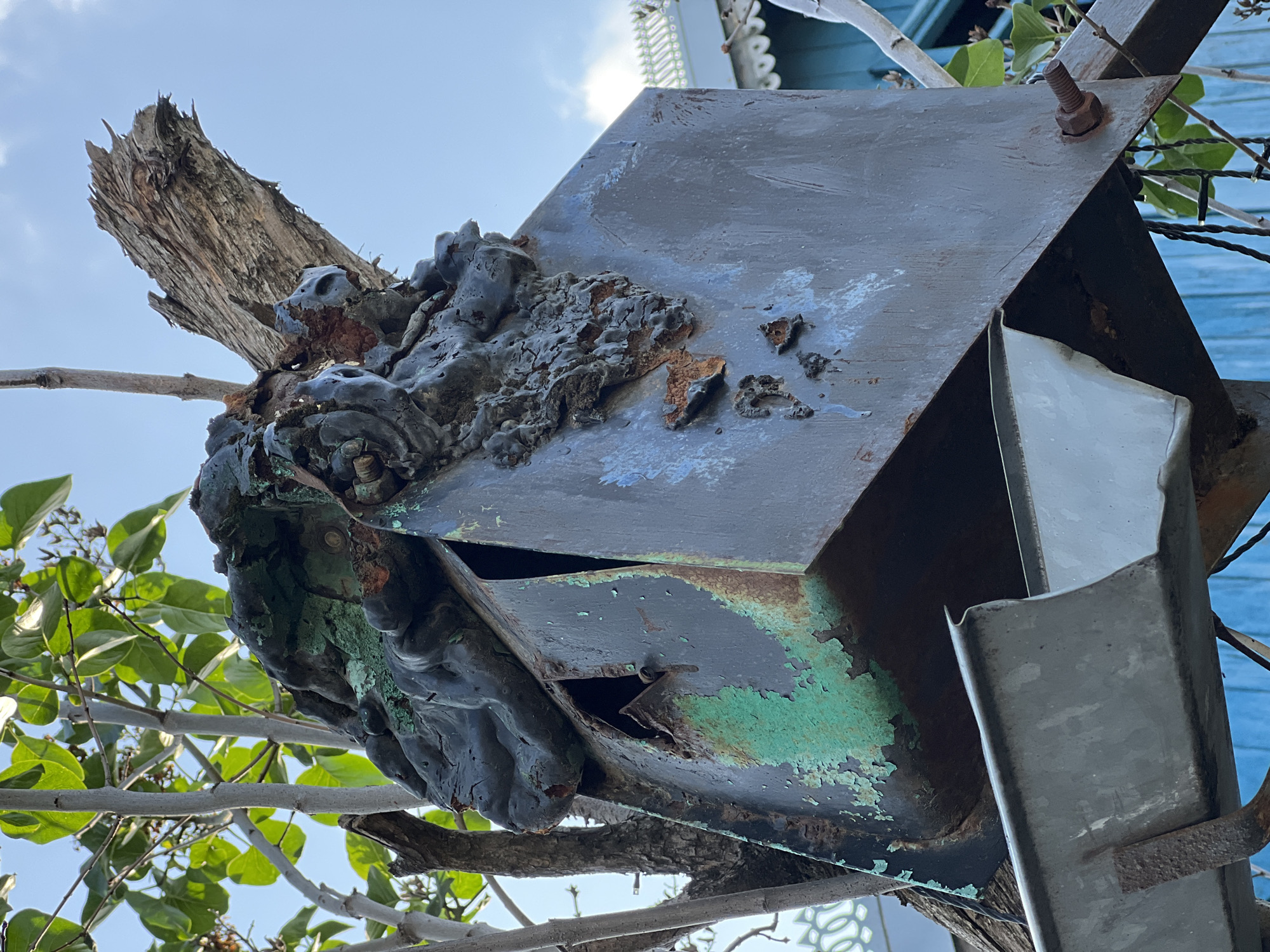 The image depicts a dilapidated metal structure, possibly a birdhouse or some other type of outdoor fixture, heavily encrusted with a dark, lumpy substance that appears to be some form of hardened, aged material. The metal exhibits significant rust and peeling paint, with green and gray hues visible. The structure is attached to a weathered wooden branch and is surrounded by the foliage of a tree. A partially visible blue building with decorative white trim is in the background. The location is likely outdoors, given the presence of trees and the sky, but the image does not explicitly confirm the city of Krasnodar, Russia.