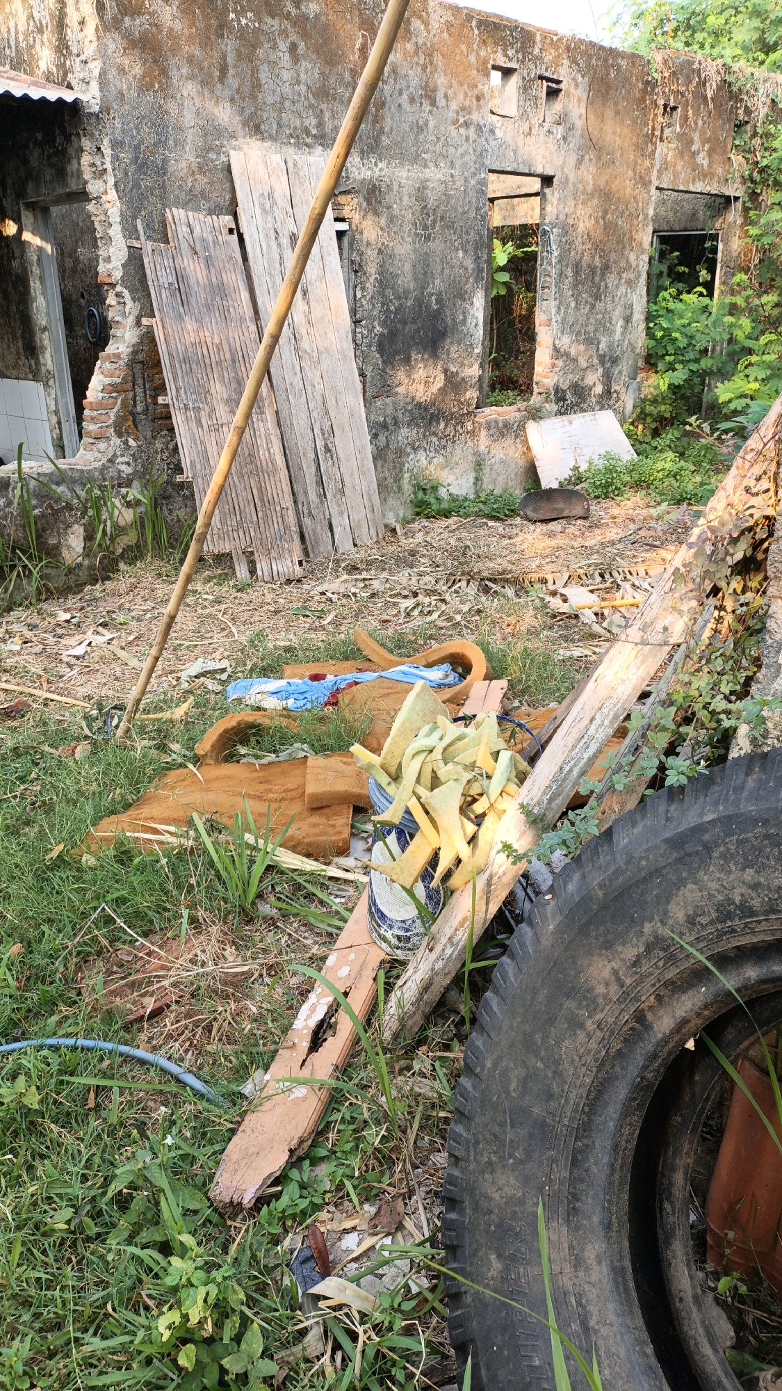 The image depicts a cluttered outdoor scene in Cikal, Indonesia, likely an abandoned or disused area. In the background, the dilapidated facade of a building is visible. The wall, constructed of concrete and brick, shows signs of significant decay, with crumbling plaster and exposed brickwork. Several window and door openings are apparent, some completely void, while others are partially obscured by vegetation.
In the foreground and mid-ground, the area is strewn with debris. A tall, slender wooden pole leans against the building. Various pieces of wood, some appearing to be planks or framing, are scattered around. Among the rubble, there is a discarded vehicle tire. Several pieces of what appear to be foam or padding are visible, one set in a curved shape reminiscent of furniture upholstery, and another pile of lighter yellow foam pieces contained within a bucket. A blue cloth item is also present amongst the debris. The ground is covered in a mixture of dry leaves, soil, and green grass, with some weeds and small plants growing throughout. A blue hose or tube is partially visible on the ground. The overall impression is one of neglect and disarray.