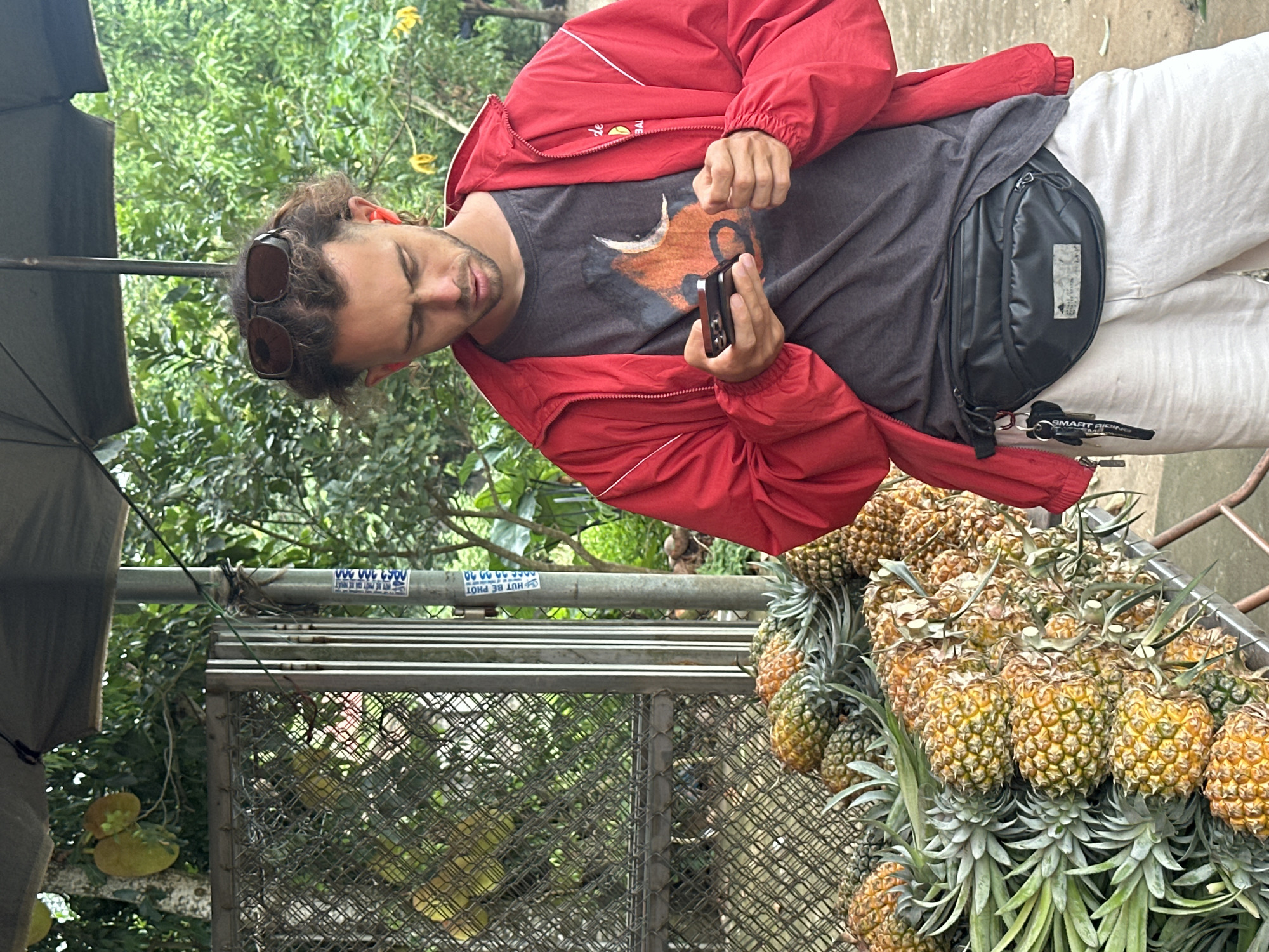 A man with curly brown hair and sunglasses perched on his head stands outdoors, looking down at his smartphone. He is wearing a red jacket over a dark t-shirt, a black fanny pack, and light-colored pants. In the background, a large pile of ripe pineapples is visible, as well as a chain-link fence and lush green trees. A metal pole with some writing on it stands to the right of the man. The scene appears to be a roadside fruit stand in Vân Du Commune, Vietnam, likely a warm or humid day.