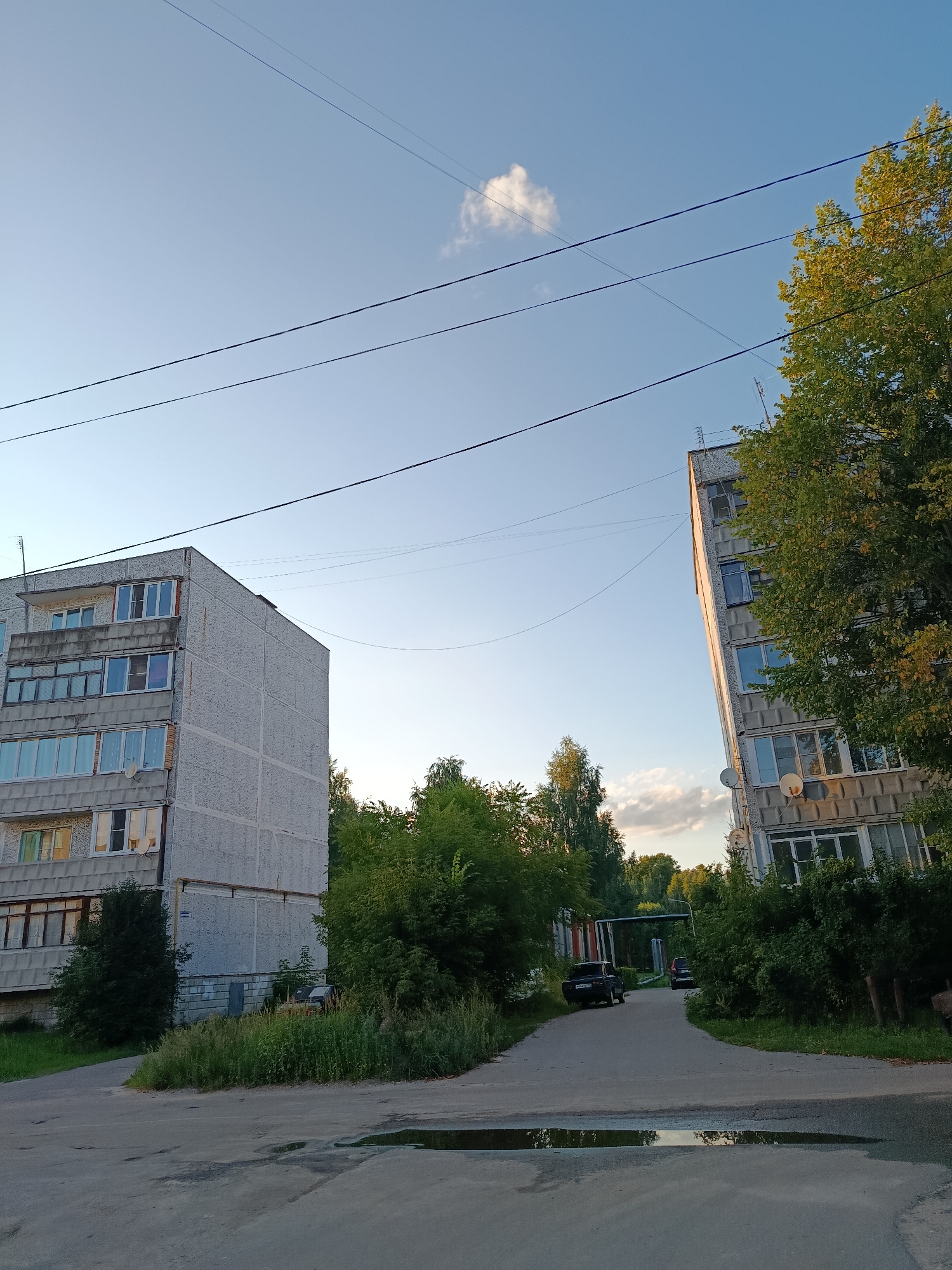 A wide-angle, eye-level shot captures a residential scene in the city of Vereya, Russia, under a clear, pale blue sky with a small, wispy cloud. The foreground shows a paved road with a large puddle reflecting the sky and surrounding trees. On the left, a grey, multi-story apartment building with numerous windows dominates the view. To the right, another similar apartment building is visible, partially obscured by the dense green foliage of a large tree with yellowing leaves. The buildings appear to be constructed of concrete panels and have satellite dishes attached to their facades. A narrow road curves between the buildings, leading towards the background where more trees and a few parked cars are visible. Overhead, power lines crisscross the sky, adding to the urban residential feel of the environment. The overall impression is of a quiet, late afternoon in a typical Russian city.
