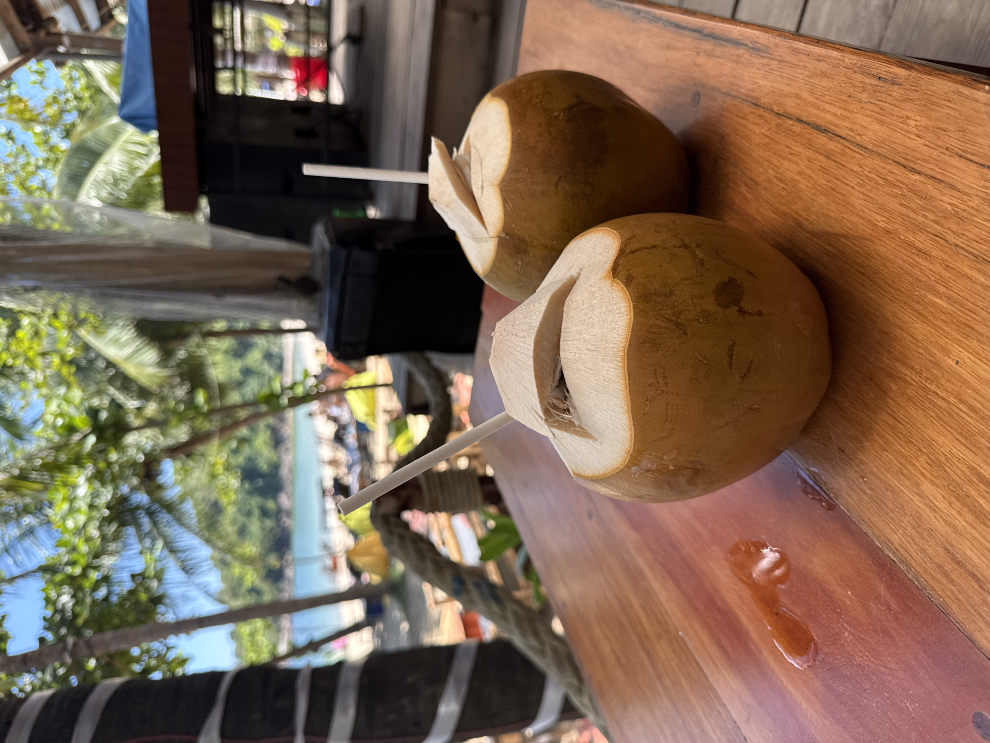 Two opened coconuts with straws sit on a wooden table. The coconuts are light brown. Behind the coconuts, there is a blurry view of a beach with trees. The scene is likely in a tropical location, such as Đà Nẵng, Vietnam, given the presence of coconuts and a beach. People are visible in the background, but they are blurred. The environment appears to be a restaurant or bar due to the presence of a wooden table. The scene appears to be taken during the day.