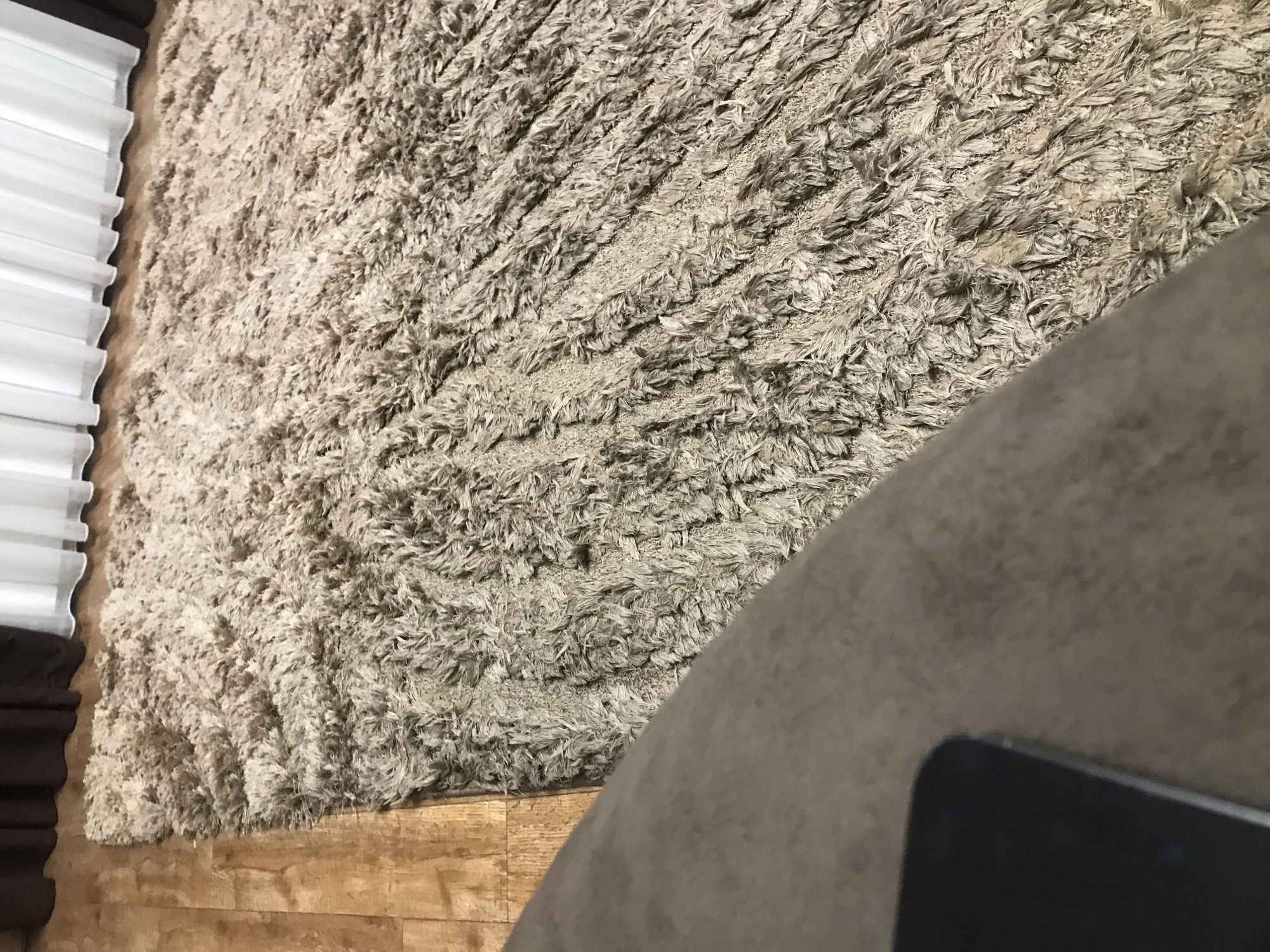 The image shows a section of a shag rug in a room. The rug is a light beige or tan color and appears to be high pile. The flooring beneath the rug is wooden. Along the left side of the image, there is a set of white window blinds. In the lower right corner, there is a portion of what appears to be a gray upholstered furniture piece and a black object. There is no information available to determine if the image was taken in Yerevan, Armenia.
