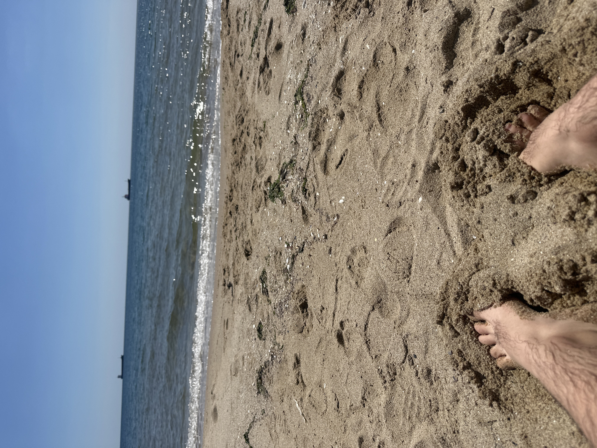 The image depicts a beach scene in Varna, Bulgaria, with the sea to the left and sand occupying the majority of the frame. The sky is blue and clear. The sea is calm with small waves and some visible objects in the distance. The sand is light brown and textured, with visible footprints and vegetation. In the right corner, there are two bare feet partially buried in the sand.