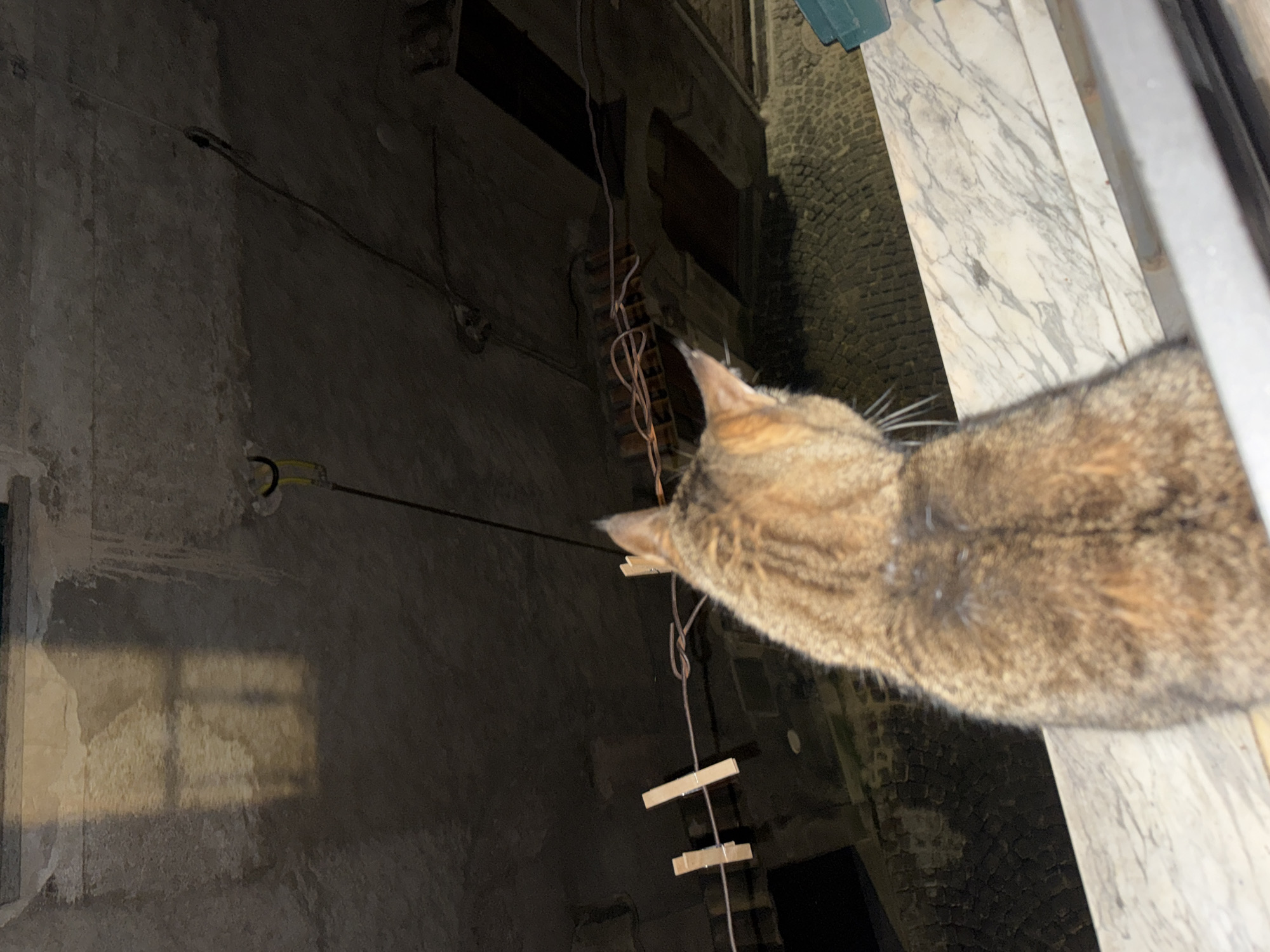 A cat is perched near a marble windowsill in Castelnuovo di Porto, Italy. The camera angle is looking down from above. The background shows a wall, wires, and what appears to be a makeshift clothesline with clothespins attached. The time of day appears to be night or dusk. The architecture suggests an old building or alleyway.