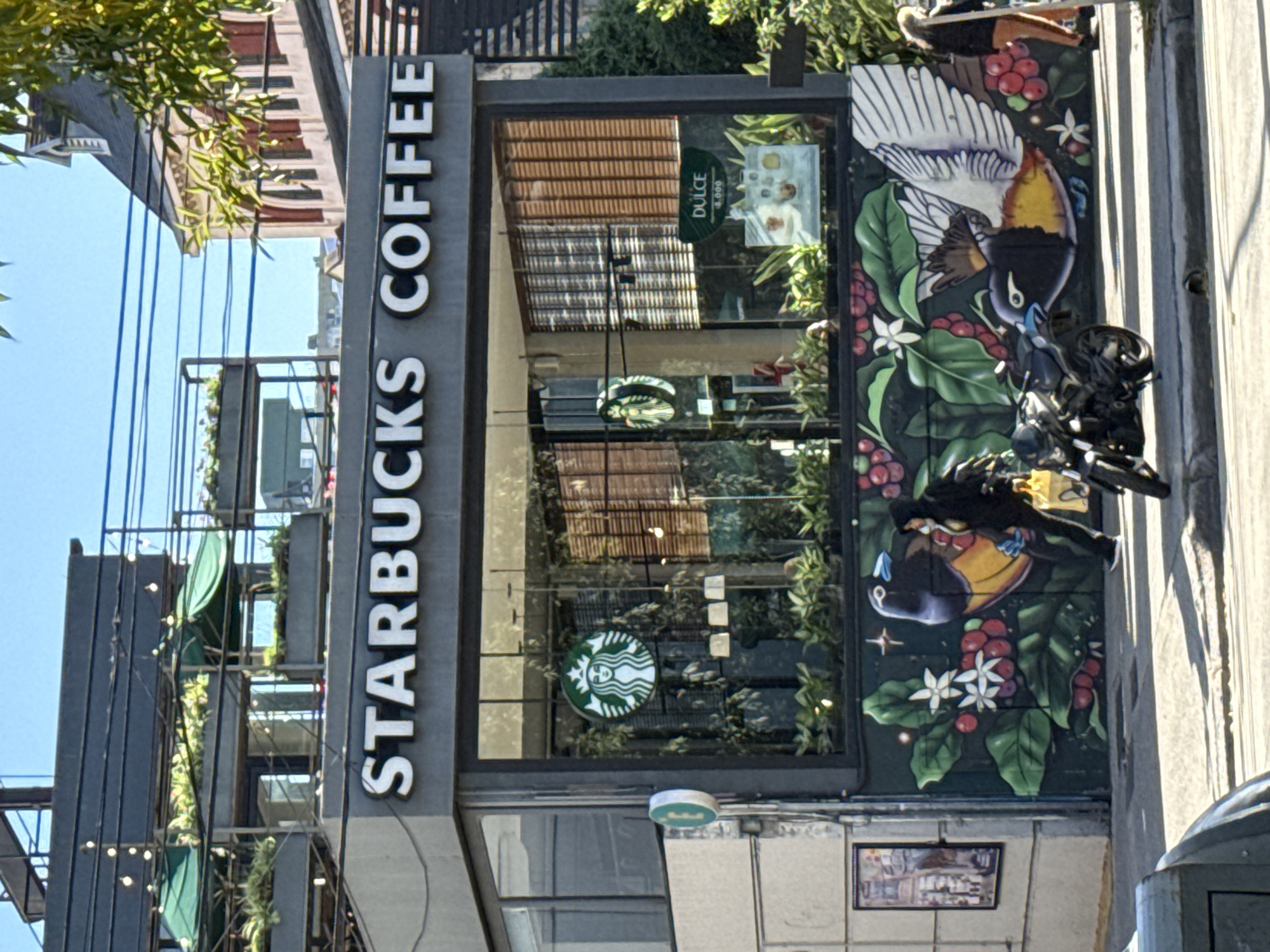This image captures the exterior of a multi-story Starbucks coffee shop during a sunny day in an urban setting, identified as Buenos Aires, Argentina. The building features a modern design with a prominent glass facade.
A large vertical sign on the left side of the building displays "STARBUCKS COFFEE" in white capital letters against a dark grey background. A circular Starbucks siren logo is visible through the front window. Inside, reflections on the glass show parts of the sky and surrounding buildings, along with interior elements like warm-toned blinds and greenery.
To the right of the entrance, a vibrant, colorful mural adorns the building's exterior wall. This artwork features two tropical birds: one with expansive white wings and a golden-orange breast, and another with a dark body and a distinct blue beak. They are depicted amidst lush dark green coffee leaves, clusters of red coffee berries, and delicate white coffee blossoms.
A black motorcycle or scooter is partially visible, parked directly in front of the lower section of this mural. Within the coffee shop's window, a small green sign is visible, displaying the text "DULCE" and the number "4.000". The upper floors of the building show architectural details and integrated green plant installations or awnings. The sky above is clear and blue, with some tree foliage visible in the upper left corner, suggesting a lively urban environment. No people are distinctly visible in the frame.