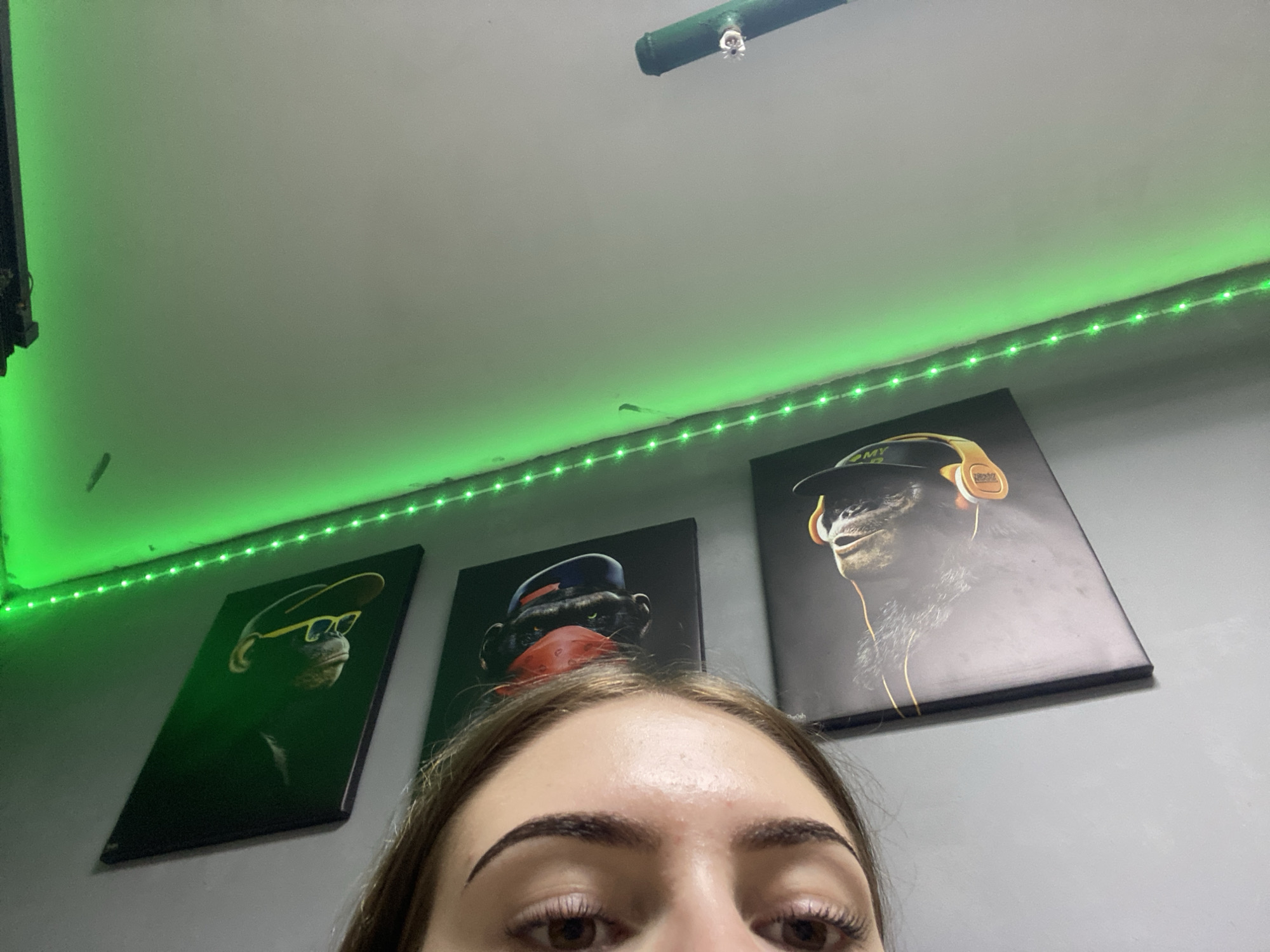 The image captures an indoor scene from a low-angle perspective, showing the top of a person's head looking upwards, along with a wall and ceiling decorated with green LED strip lights and framed artwork.
The primary subject is the upper part of a person's face, specifically their forehead, eyes, and eyebrows, indicating they are looking directly into the camera or upwards. They have brown eyes, long eyelashes, and dark, defined eyebrows.
Above the person, three framed pictures are mounted on a light gray wall. Each picture features an anthropomorphic monkey.
1. The left picture shows a monkey wearing a yellow baseball cap (possibly with a "NY" logo) and yellow sunglasses.
2. The middle picture depicts a monkey wearing a dark blue baseball cap and a red bandana covering its lower face.
3. The right picture features a monkey wearing a golden fedora hat and large golden over-ear headphones, with some visible text "SMY" on the headphones.
Along the intersection of the wall and a light gray ceiling, a strip of bright green LED lights illuminates the space, casting a green glow. In the upper left corner of the ceiling, a dark green pipe with a white sprinkler head is visible. The overall lighting is dim, with the green LEDs providing the main source of visible light in the upper portion of the frame. The setting appears to be a casual room.