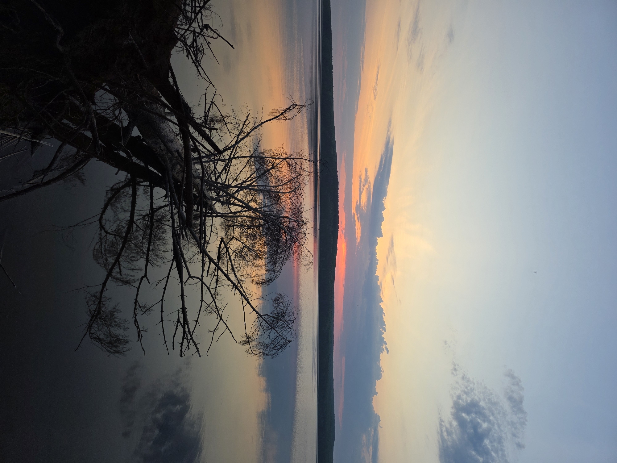 The image depicts a sunset scene in what appears to be a body of water, likely the Kama River, in or near the city of Chaikovsky, Russia. The horizon line divides the image roughly in half, with the upper portion showing the sky ablaze with orange, pink, and yellow hues intermingling with clouds, and the lower portion reflecting the sky in the water. A bare tree is positioned on the left side of the frame. Its branches extend towards the center, creating a silhouette against the vibrant sky and its reflection. The reflection is mostly uniform, disrupted only by some light ripples on the surface. The overall atmosphere suggests a tranquil and serene evening.