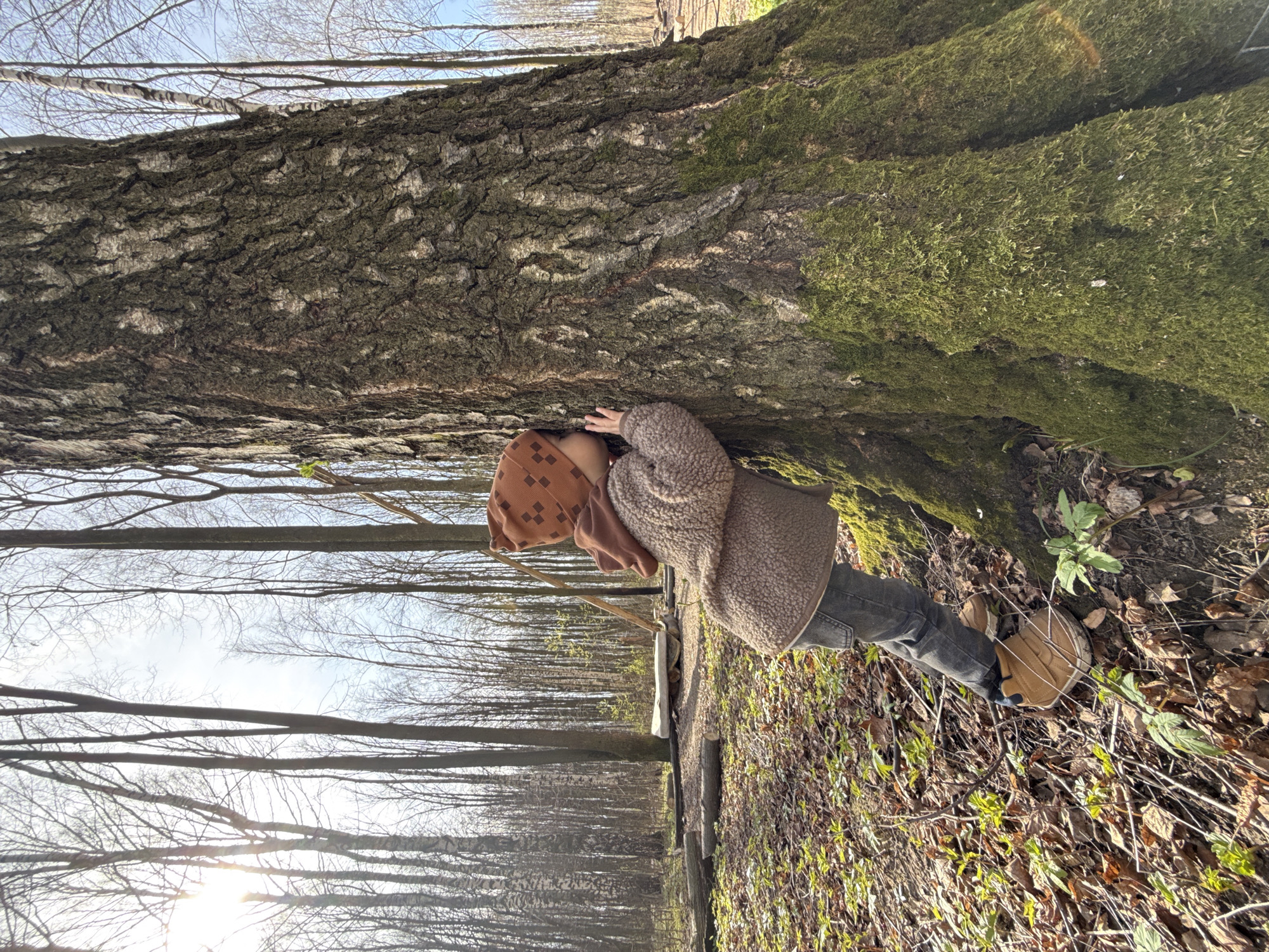 A young individual, wearing a patterned brown head covering, a beige sherpa jacket, and gray pants with tan boots, is positioned against a large tree trunk covered with bark and moss. The person's hands are placed on the tree. The location appears to be a wooded area, potentially a forest, with a view of a row of trees and a partially obscured sky visible in the background. The ground is covered with fallen leaves and some vegetation. The image is oriented sideways, possibly due to how it was taken or oriented. The city is unknown.