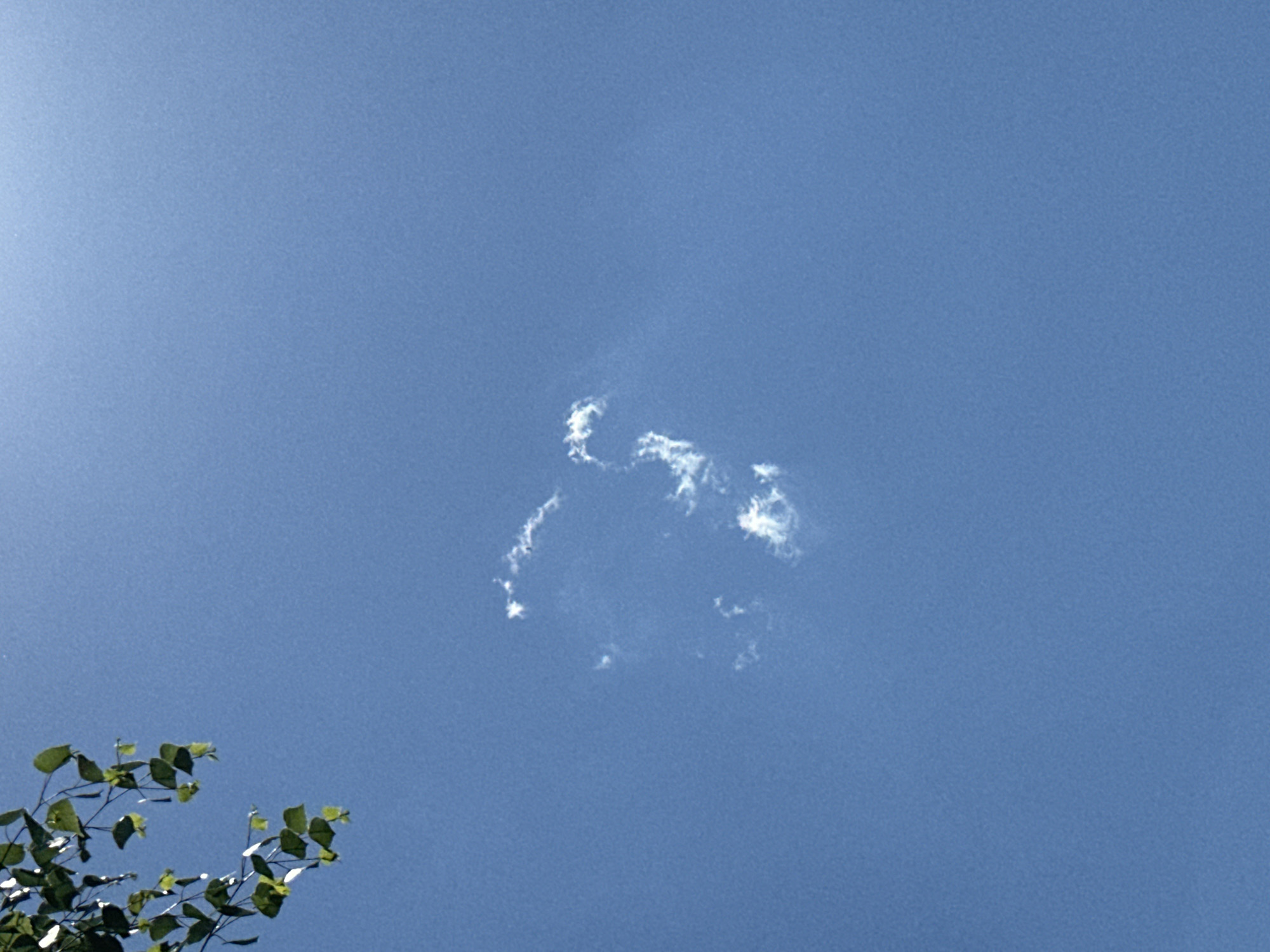 The image shows a mostly clear blue sky with a small, fragmented cloud formation in the center. In the lower left corner, there are green leaves and branches of a tree. The location is Chaikovsky, Russia. There are no people or interactions visible. The subject is a cloud formation in the sky.