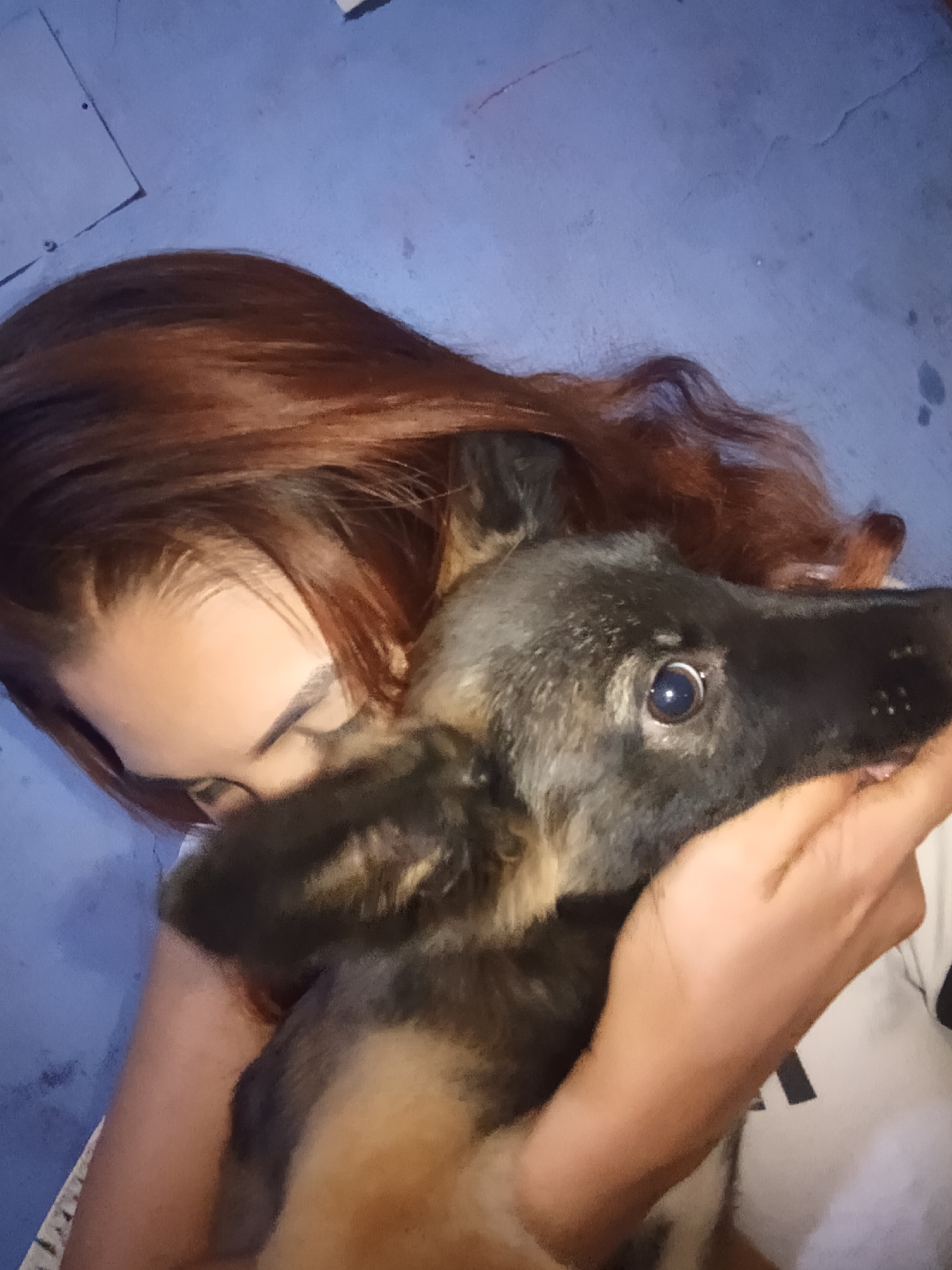 A person with auburn hair is holding a dog. The dog is a German Shepherd puppy. The person's face is partially visible, and they appear to be looking at the dog. The background is a blue wall. There is no indication that the photo was taken in Juan Griego, Venezuela.
