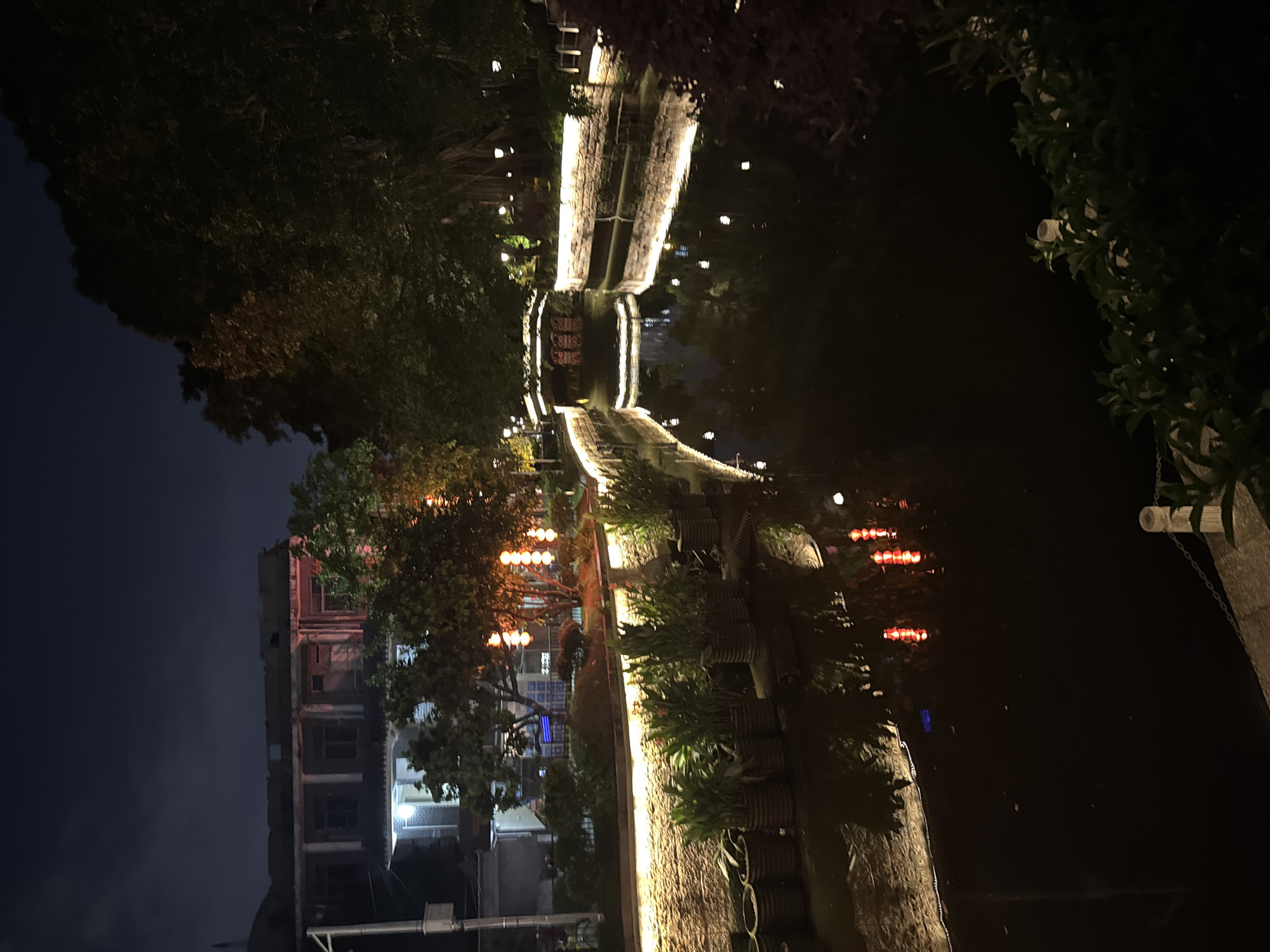 At night in Liwan District, China, a canal reflects illuminated walkways and buildings. The canal is lined with potted plants and bordered by structures adorned with string lights and lanterns. One building is visible through the trees.
